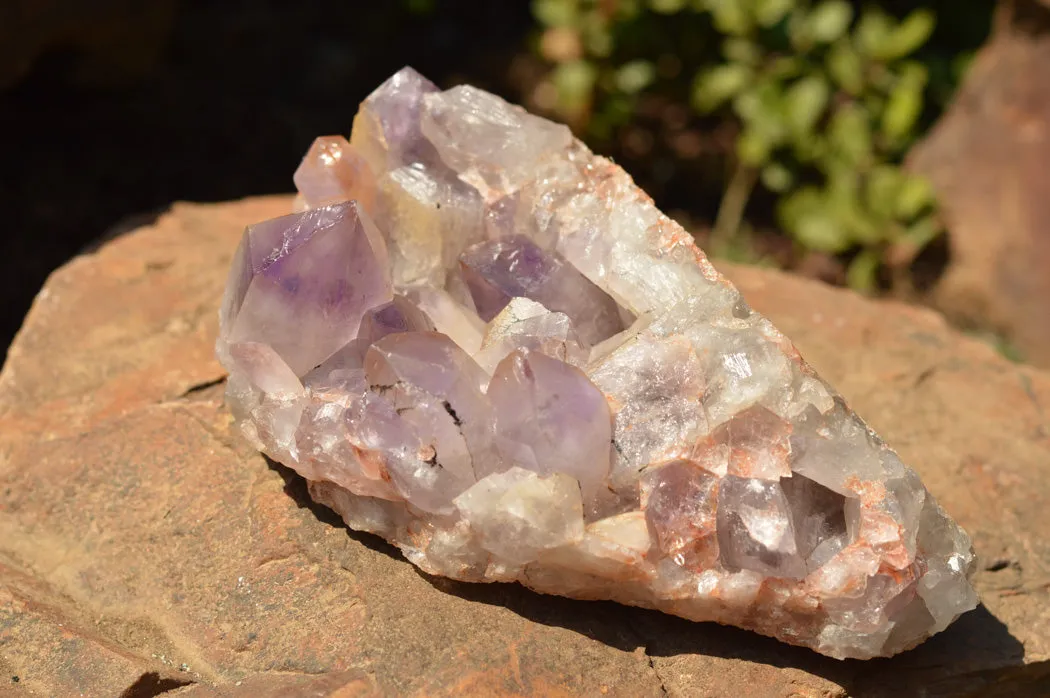 Natural Jacaranda Amethyst Quartz Cluster x 1 From Mumbwe, Zambia