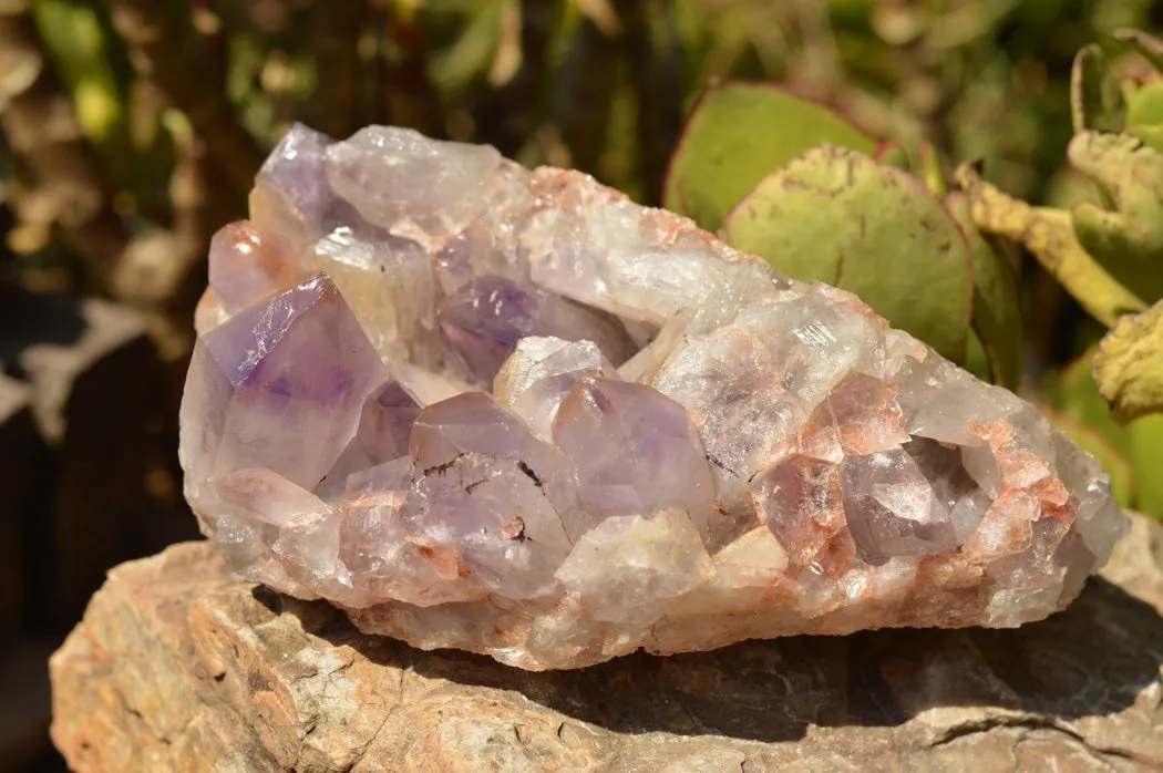 Natural Jacaranda Amethyst Quartz Cluster x 1 From Mumbwe, Zambia
