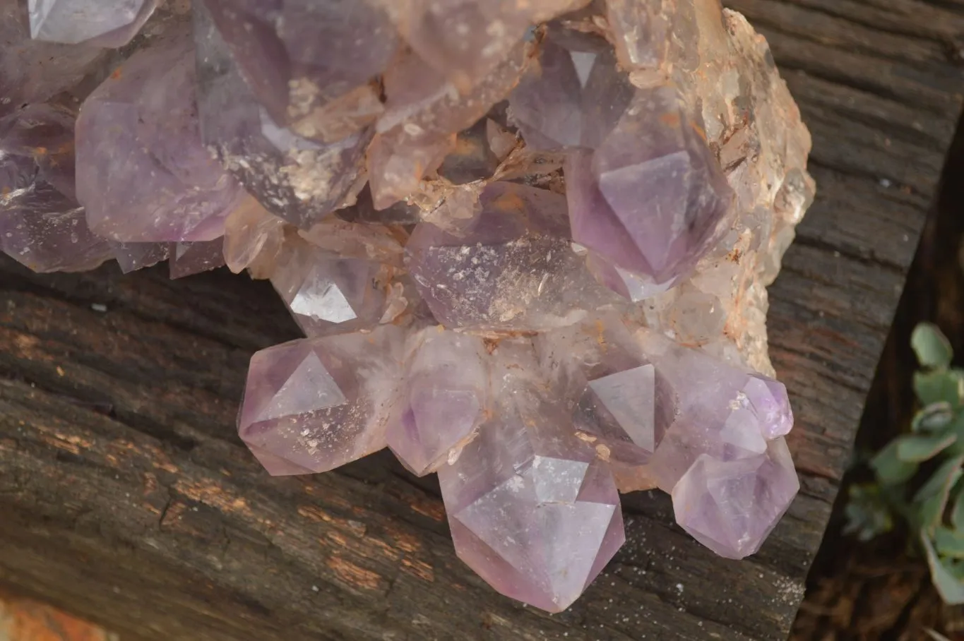 Natural Large Amethyst Crystal Specimen x 1 From Zambia