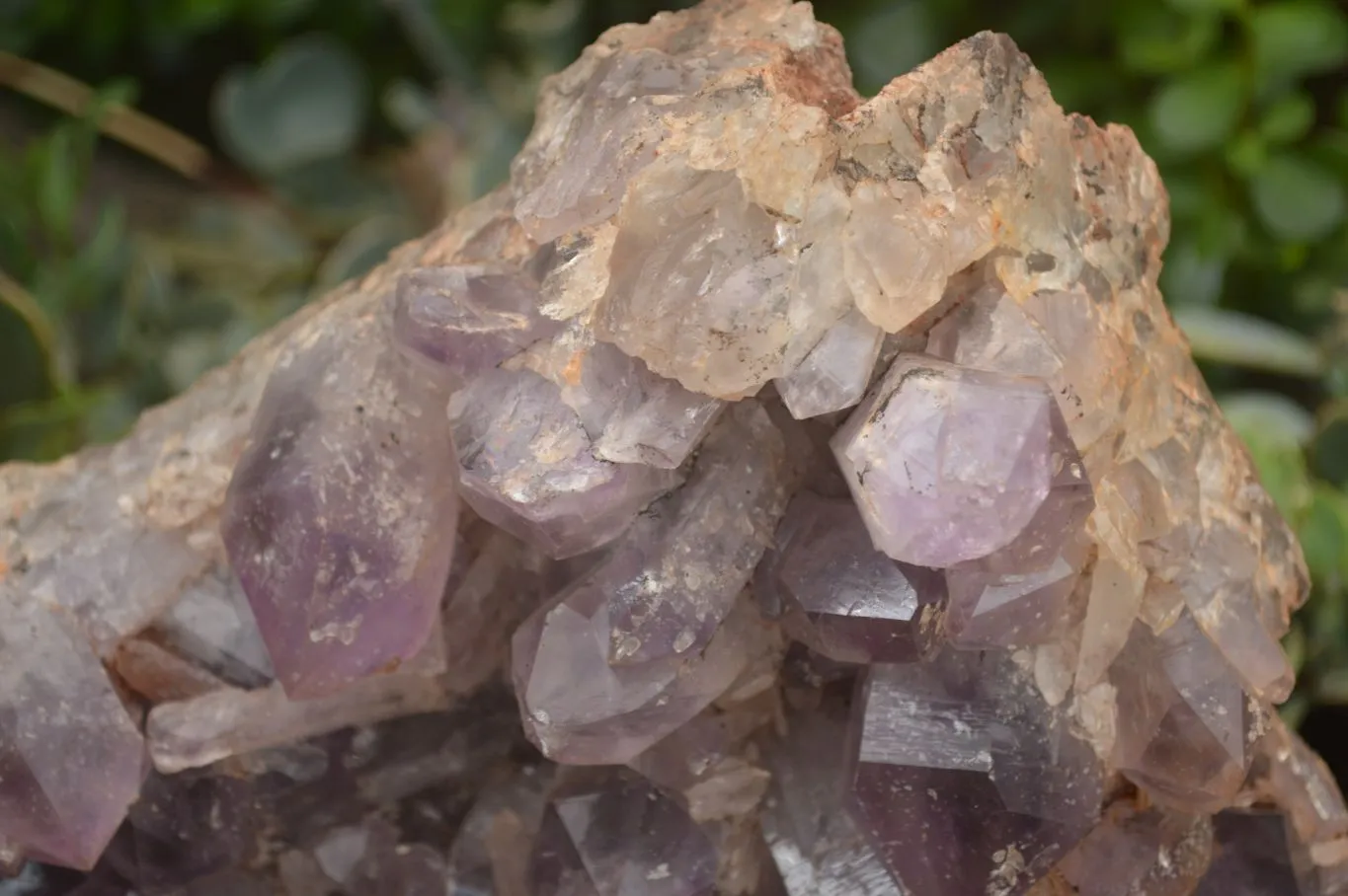 Natural Large Amethyst Crystal Specimen x 1 From Zambia