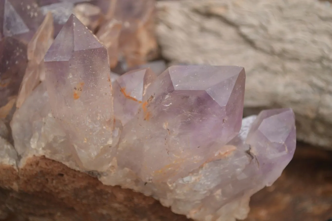 Natural Large Amethyst Crystal Specimen x 1 From Zambia