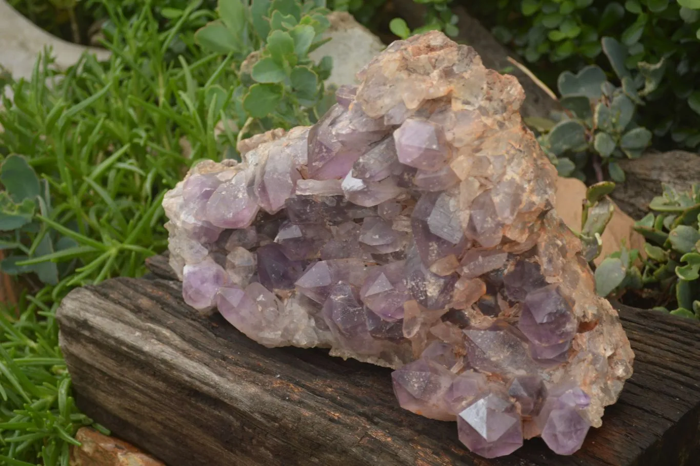 Natural Large Amethyst Crystal Specimen x 1 From Zambia