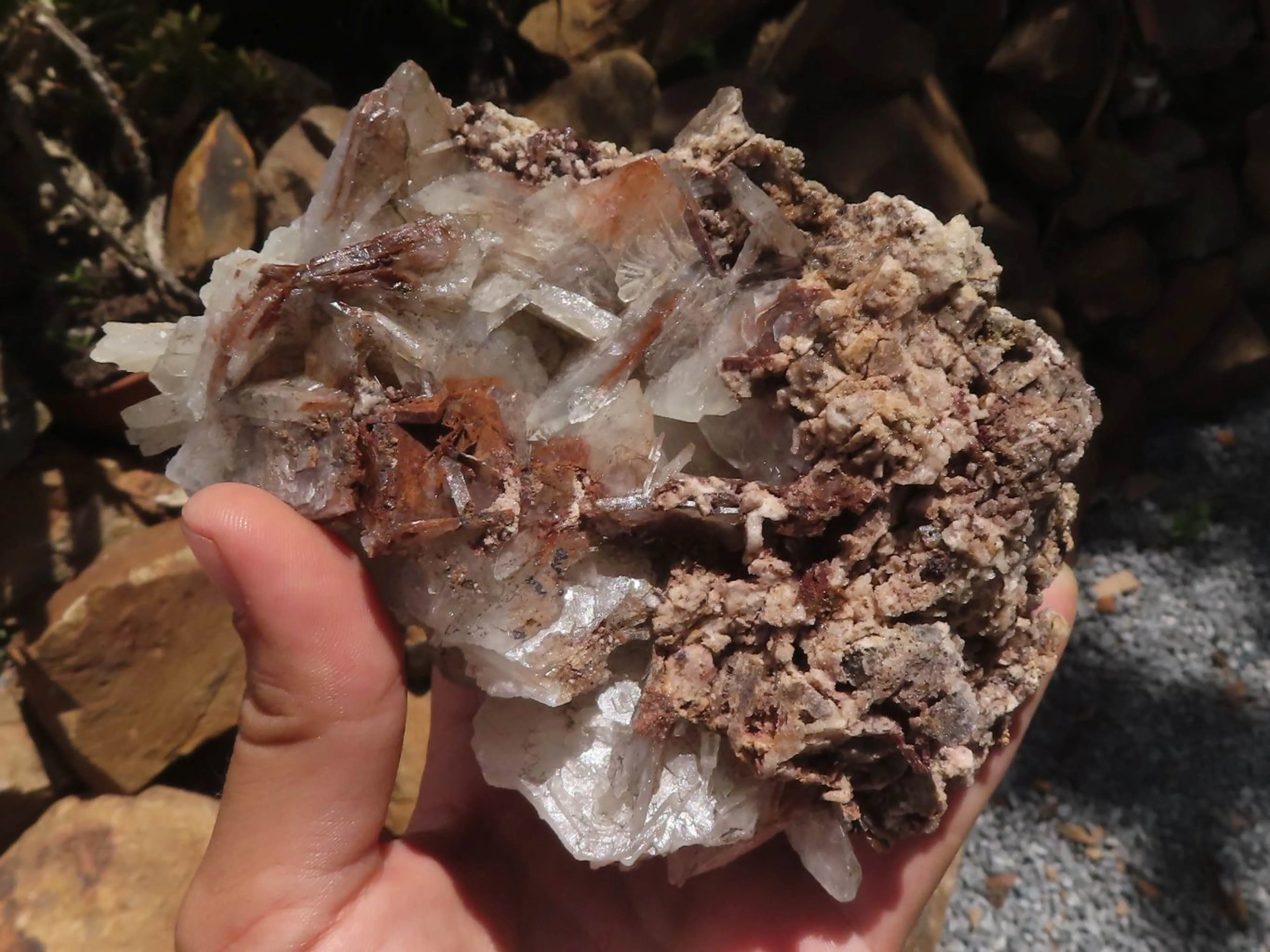 Natural Large Bladed Barite Specimen  x 1 From Tenke Fungurume, Congo