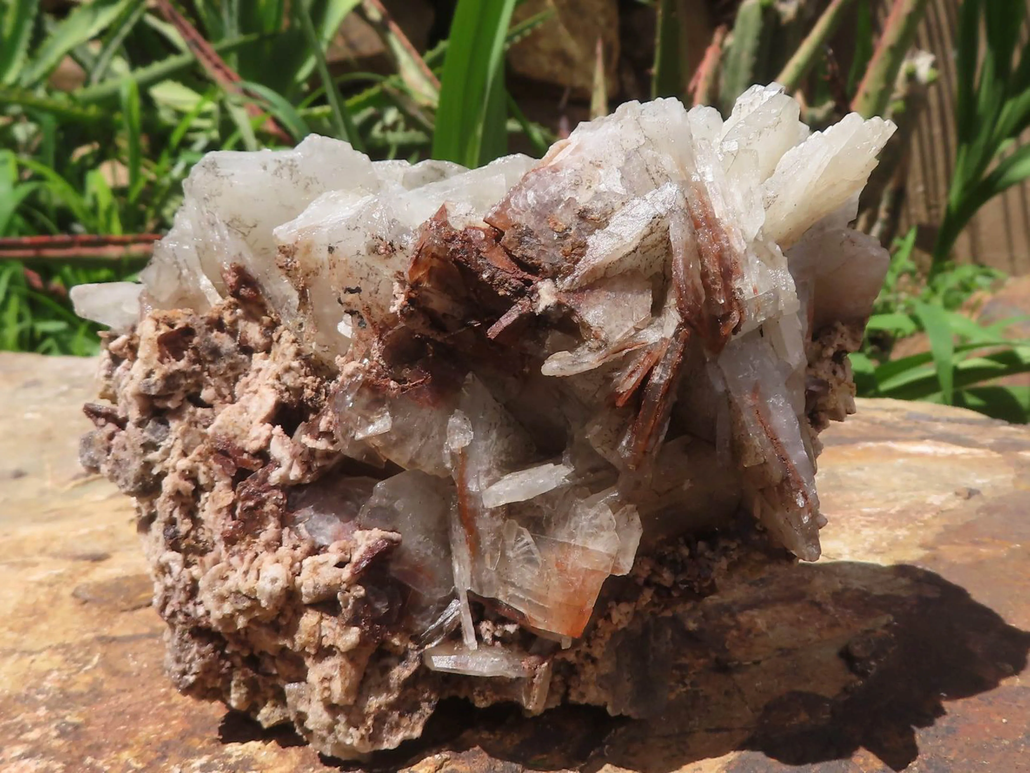 Natural Large Bladed Barite Specimen  x 1 From Tenke Fungurume, Congo