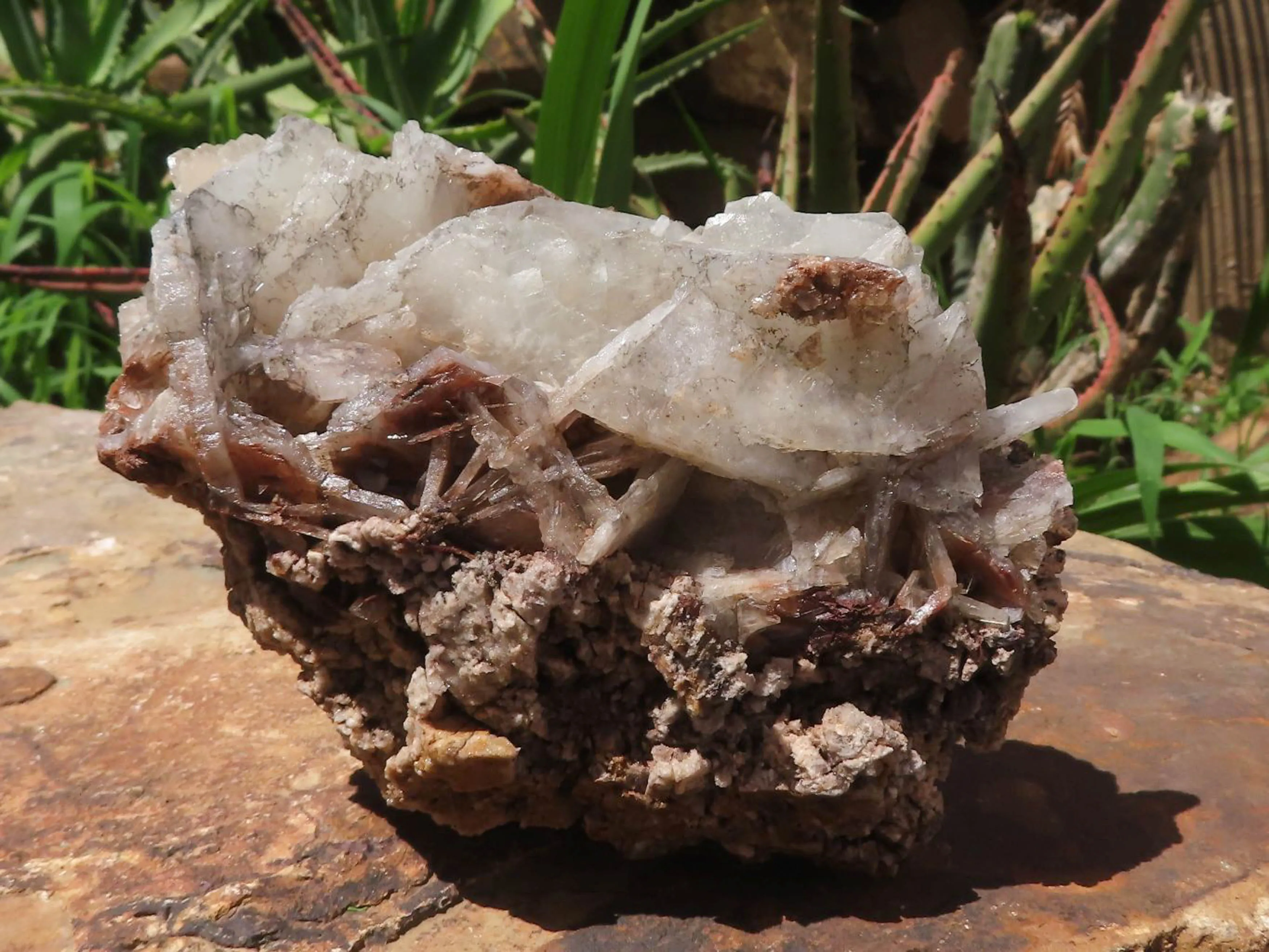 Natural Large Bladed Barite Specimen  x 1 From Tenke Fungurume, Congo