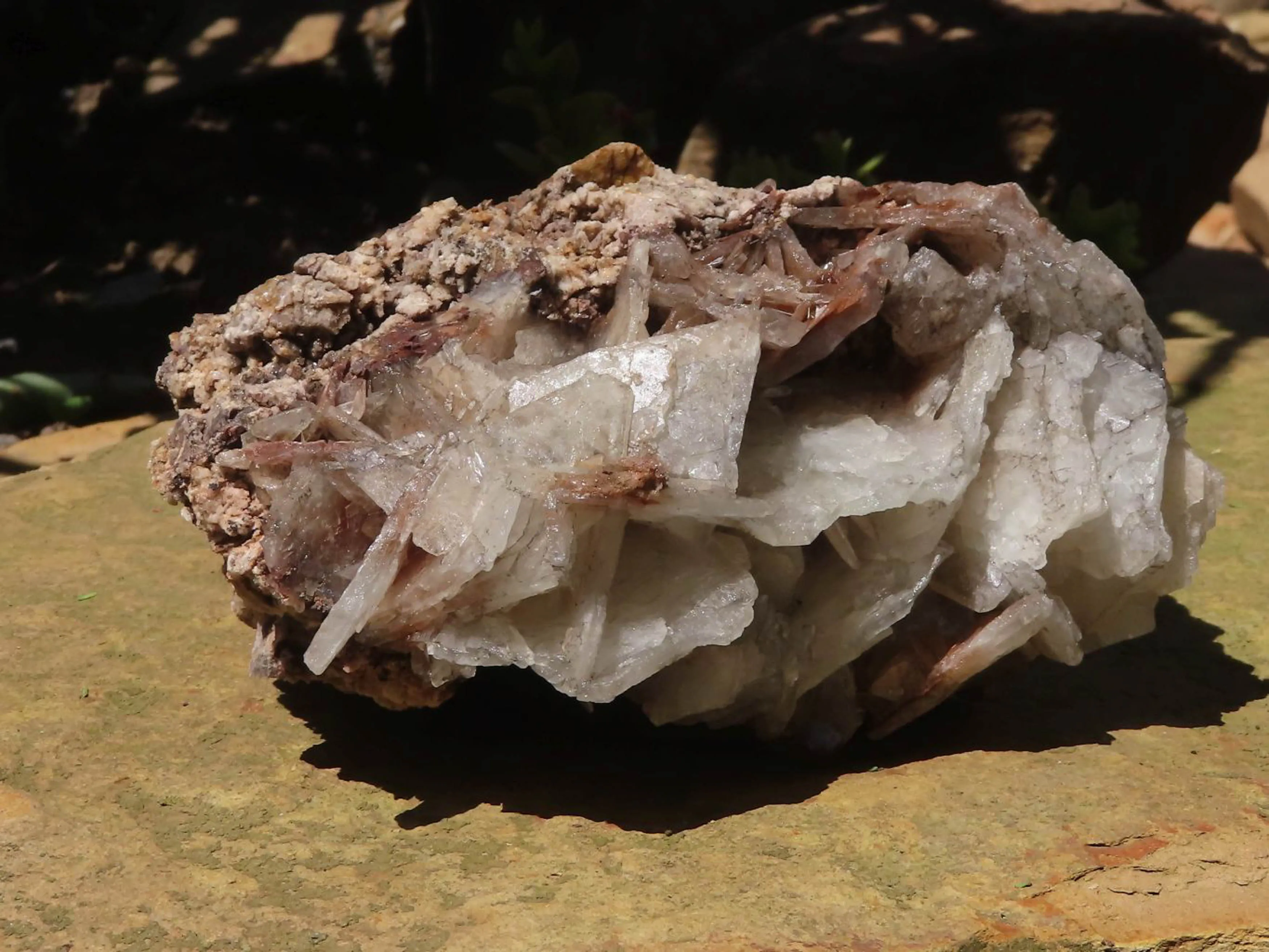 Natural Large Bladed Barite Specimen  x 1 From Tenke Fungurume, Congo