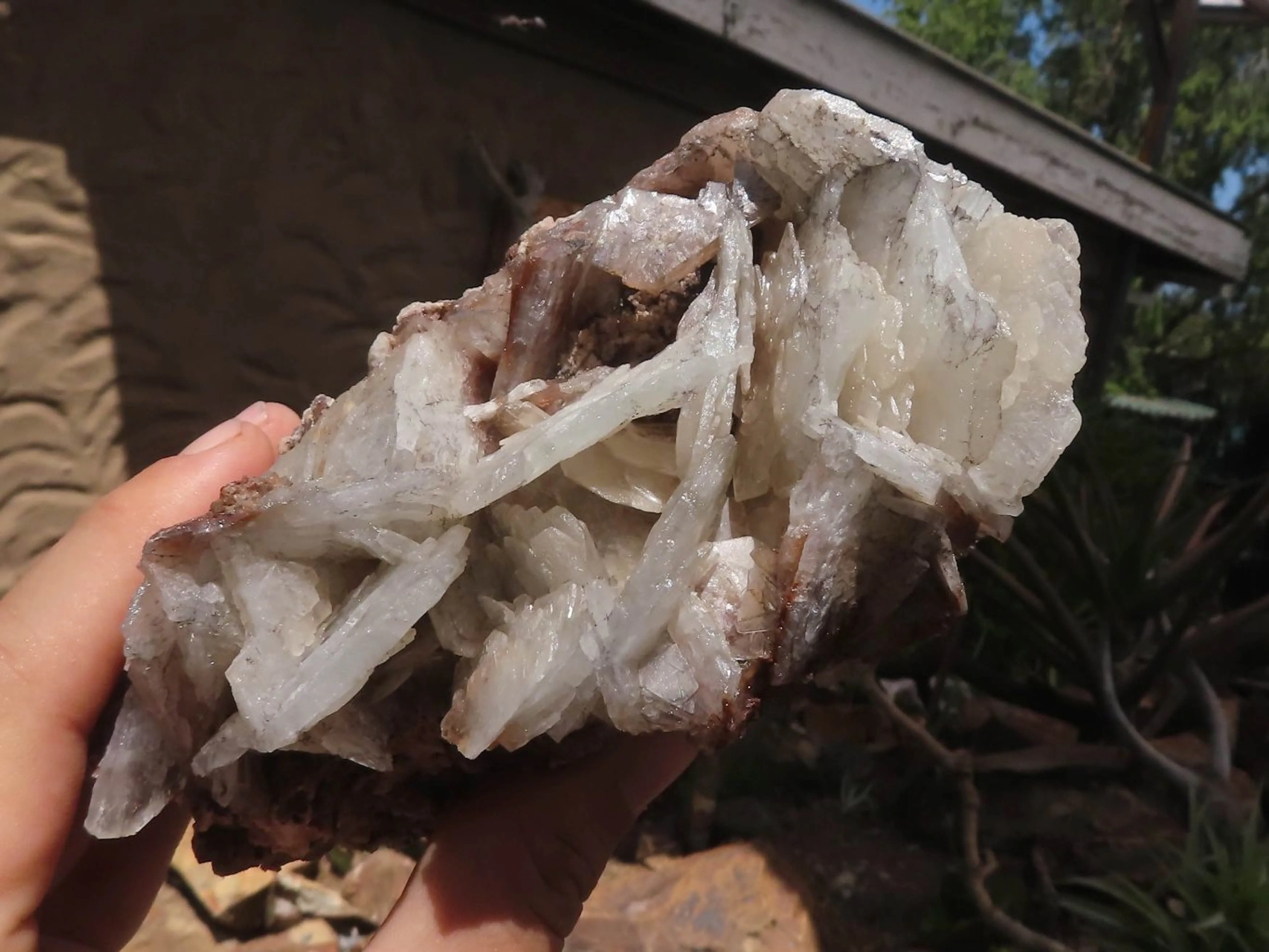 Natural Large Bladed Barite Specimen  x 1 From Tenke Fungurume, Congo
