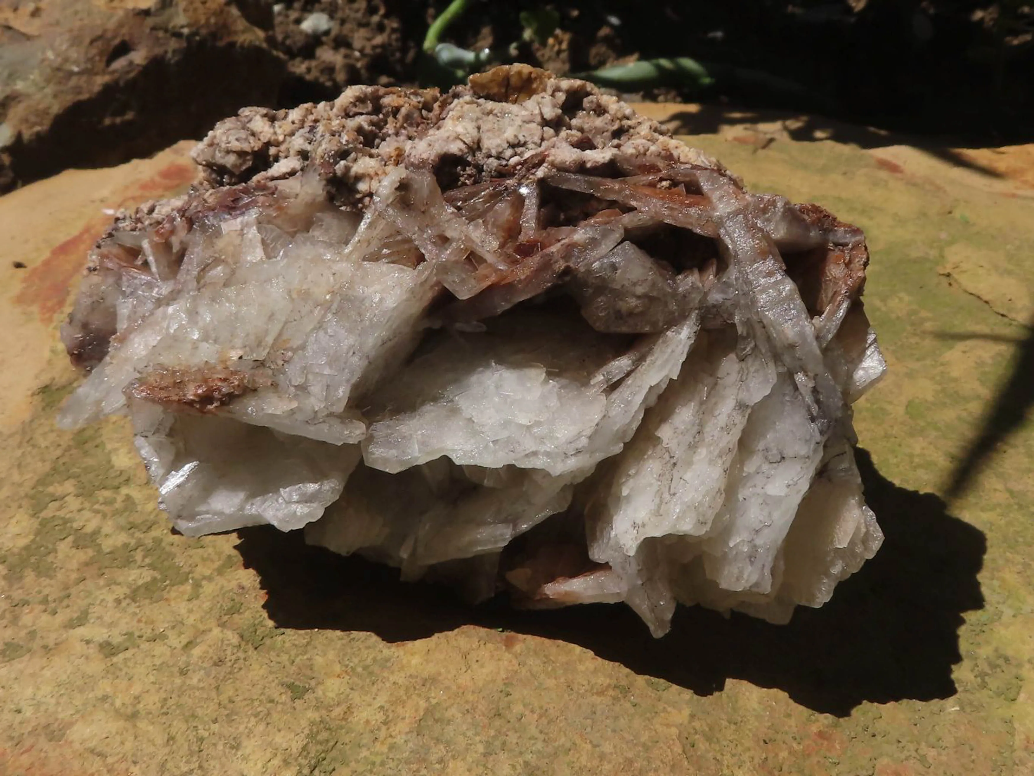 Natural Large Bladed Barite Specimen  x 1 From Tenke Fungurume, Congo