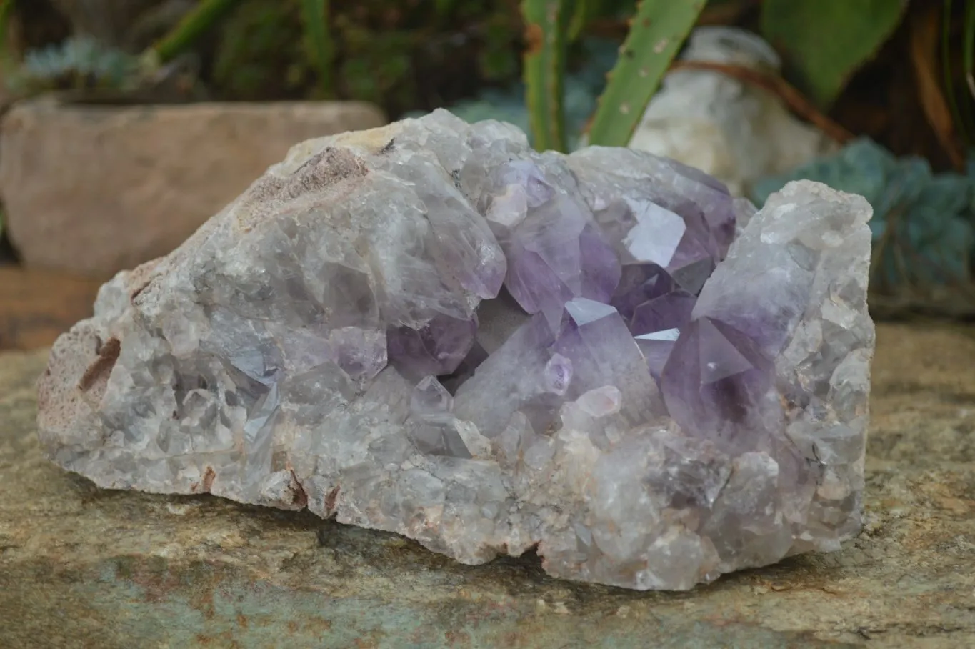 Natural Large Jacaranda Amethyst Vug Specimen x 1 From Mumbwa, Zambia