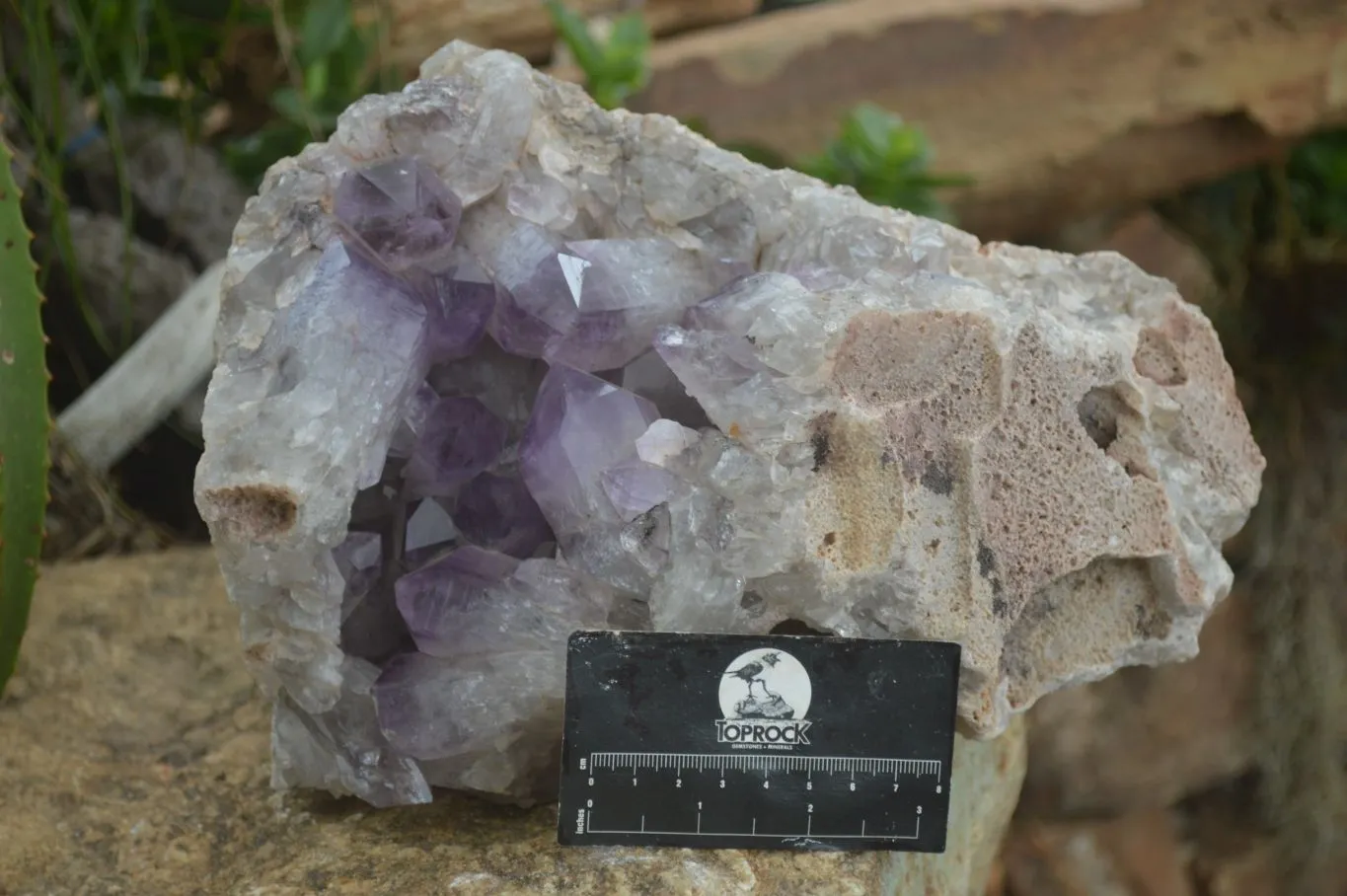 Natural Large Jacaranda Amethyst Vug Specimen x 1 From Mumbwa, Zambia