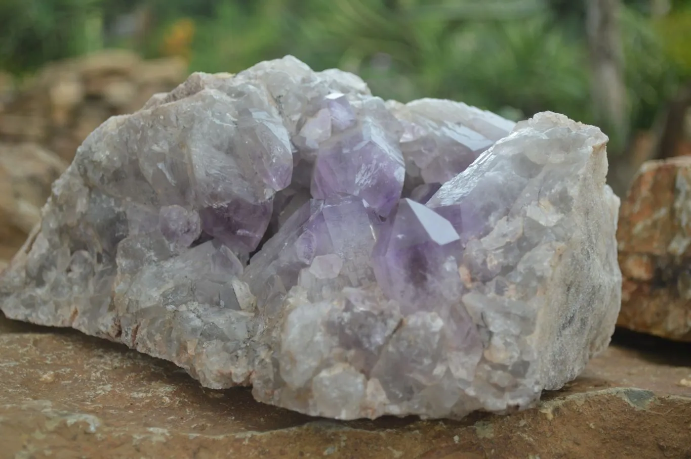 Natural Large Jacaranda Amethyst Vug Specimen x 1 From Mumbwa, Zambia