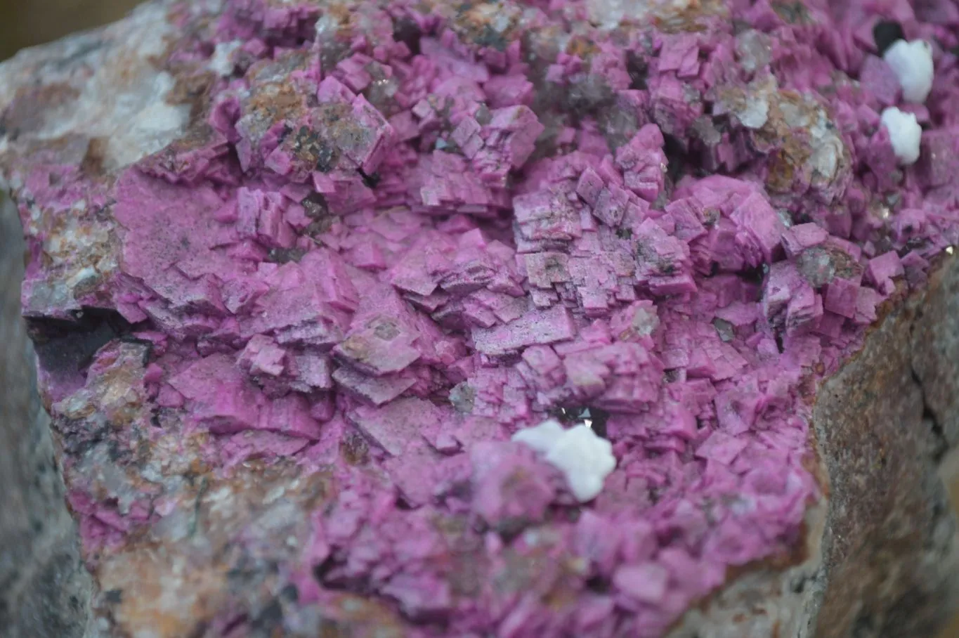 Natural Pink Salrose Cobaltion Dolomite Specimen x 1 From Kakanda, Congo