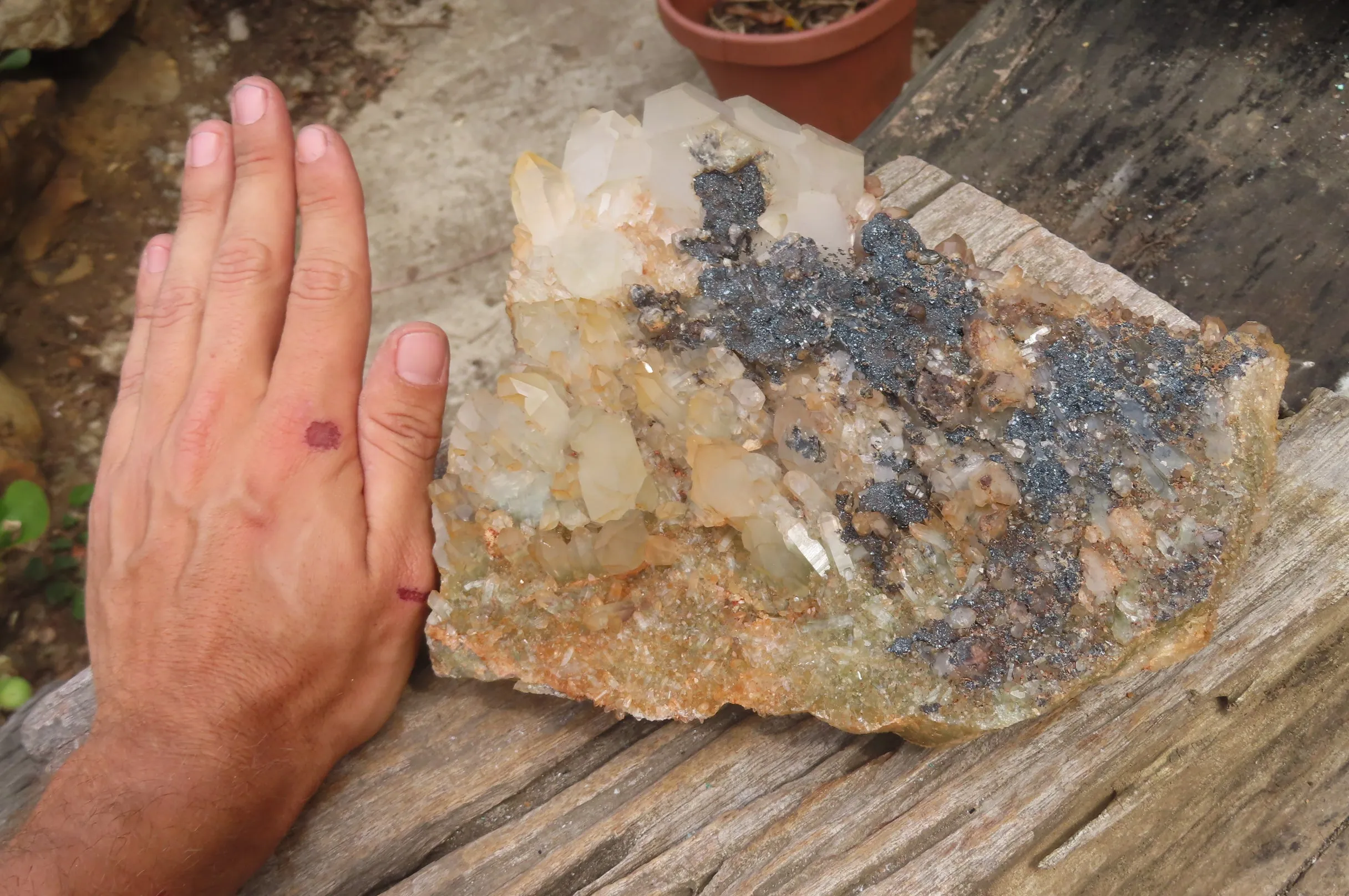 Natural Specular Hematite Coated Quartz Specimen x 1 From Messina Mine, South Africa
