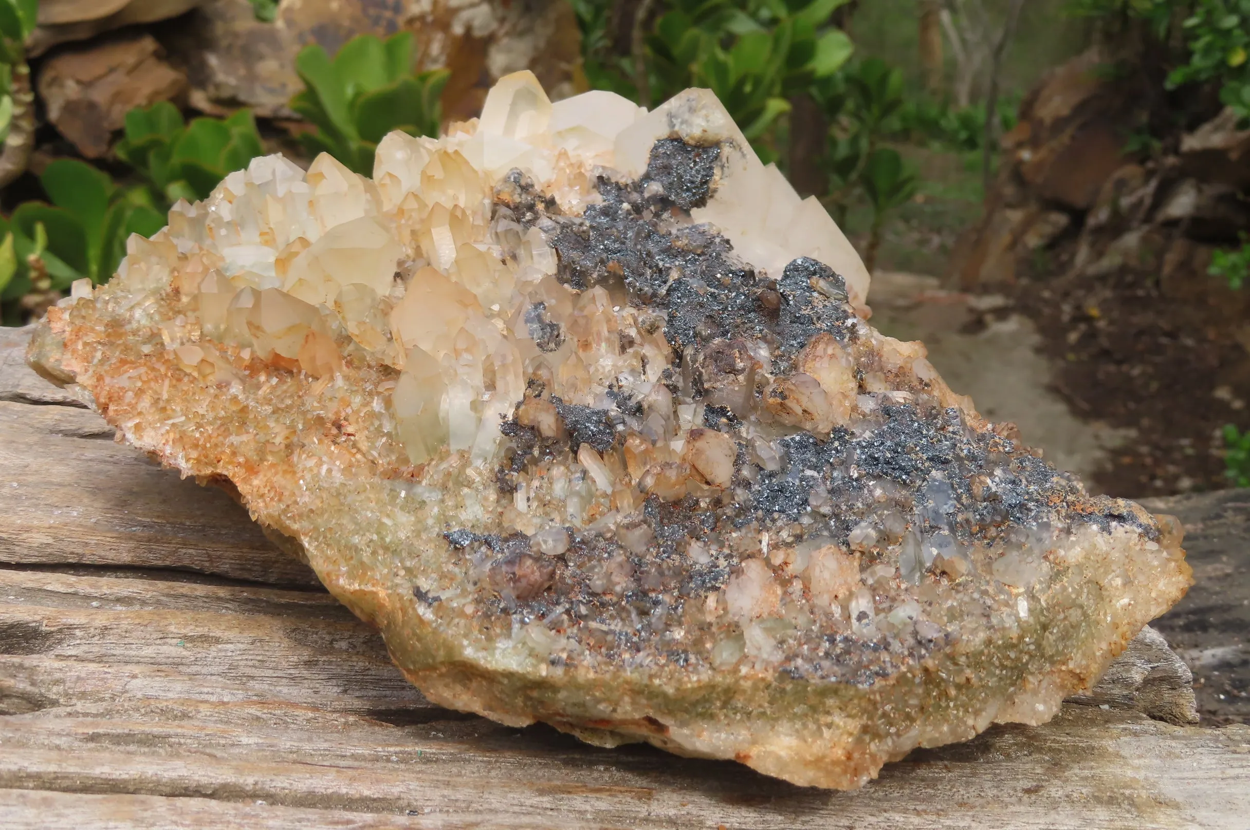 Natural Specular Hematite Coated Quartz Specimen x 1 From Messina Mine, South Africa