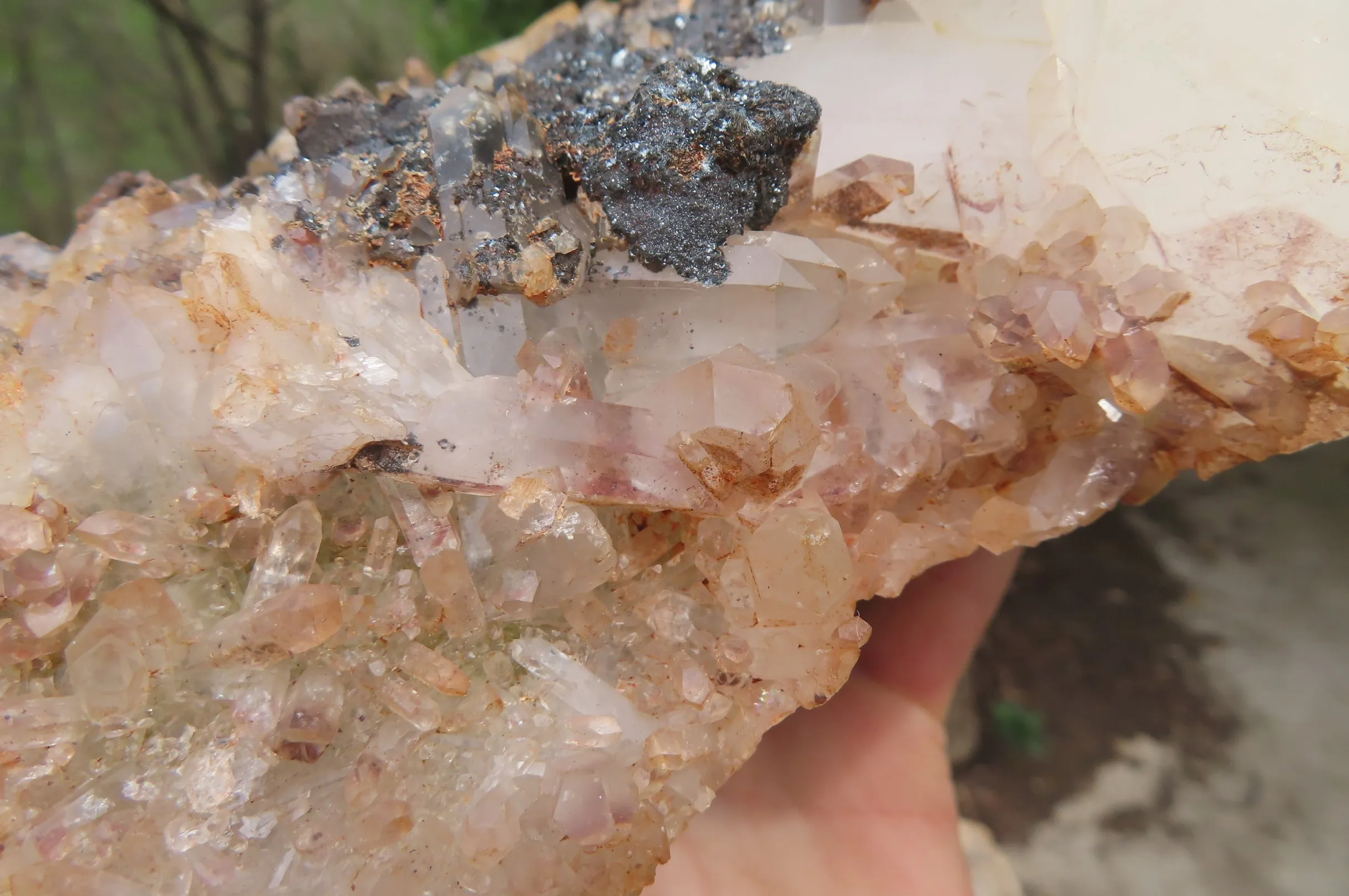 Natural Specular Hematite Coated Quartz Specimen x 1 From Messina Mine, South Africa