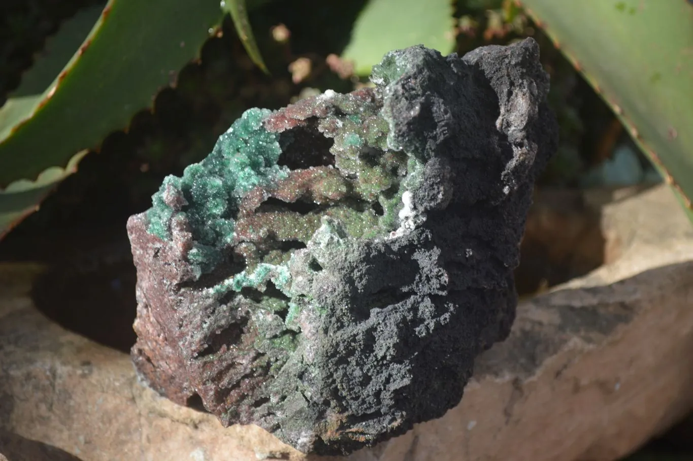 Natural Stunning Drusy Quartz Coated Ball Malachite Dolomite Specimen x 1 From Likasi, Congo