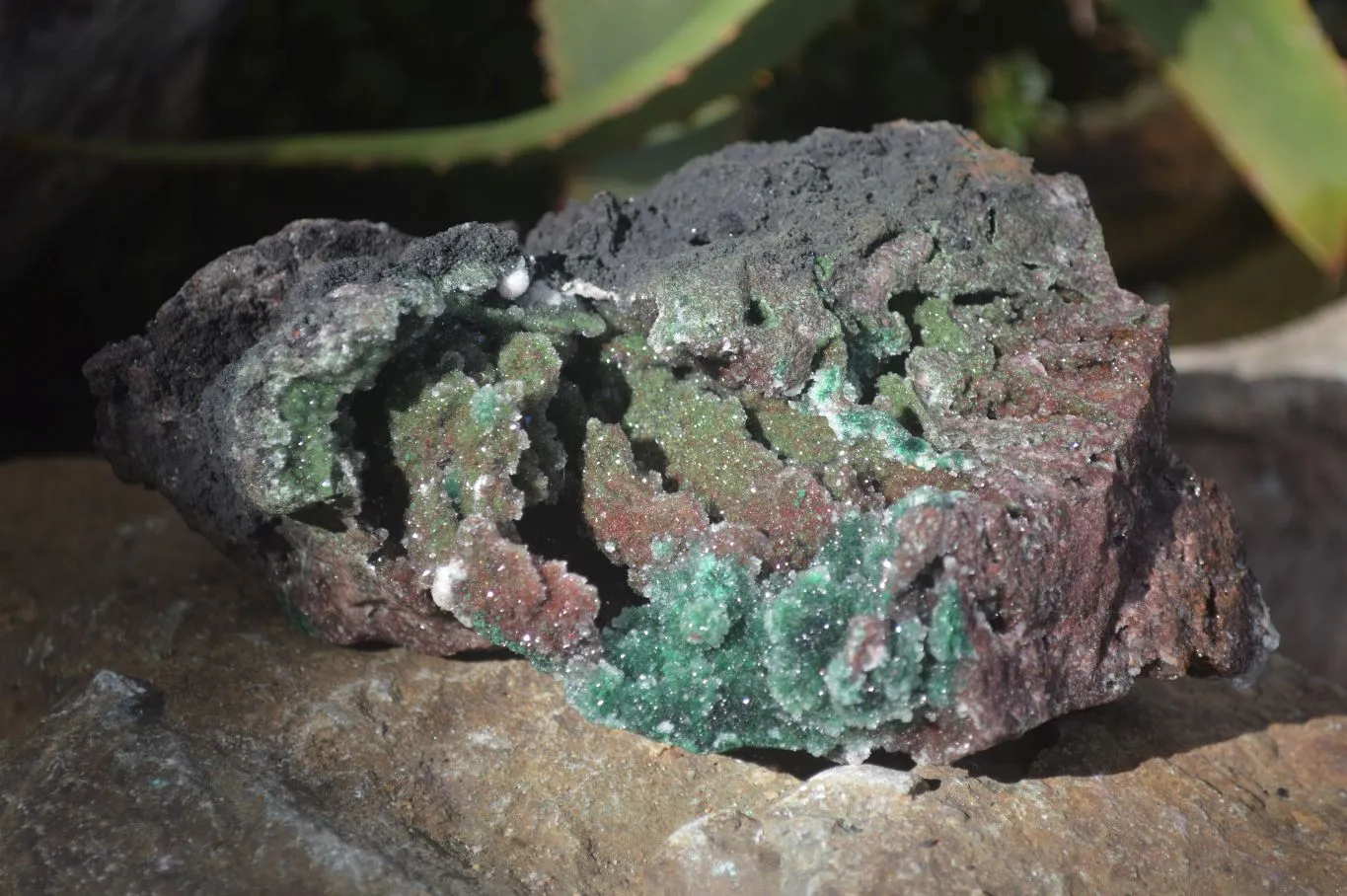 Natural Stunning Drusy Quartz Coated Ball Malachite Dolomite Specimen x 1 From Likasi, Congo