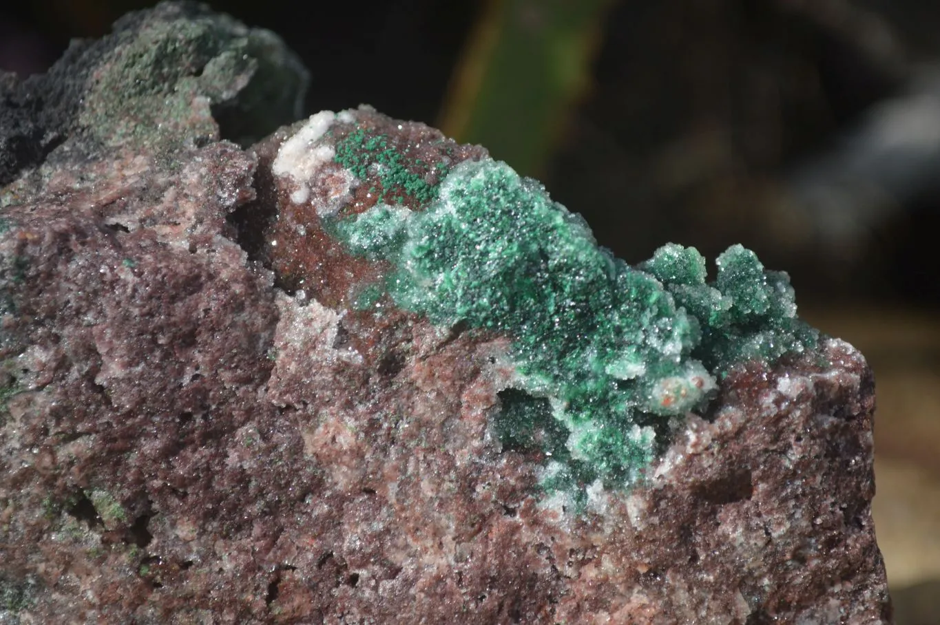 Natural Stunning Drusy Quartz Coated Ball Malachite Dolomite Specimen x 1 From Likasi, Congo