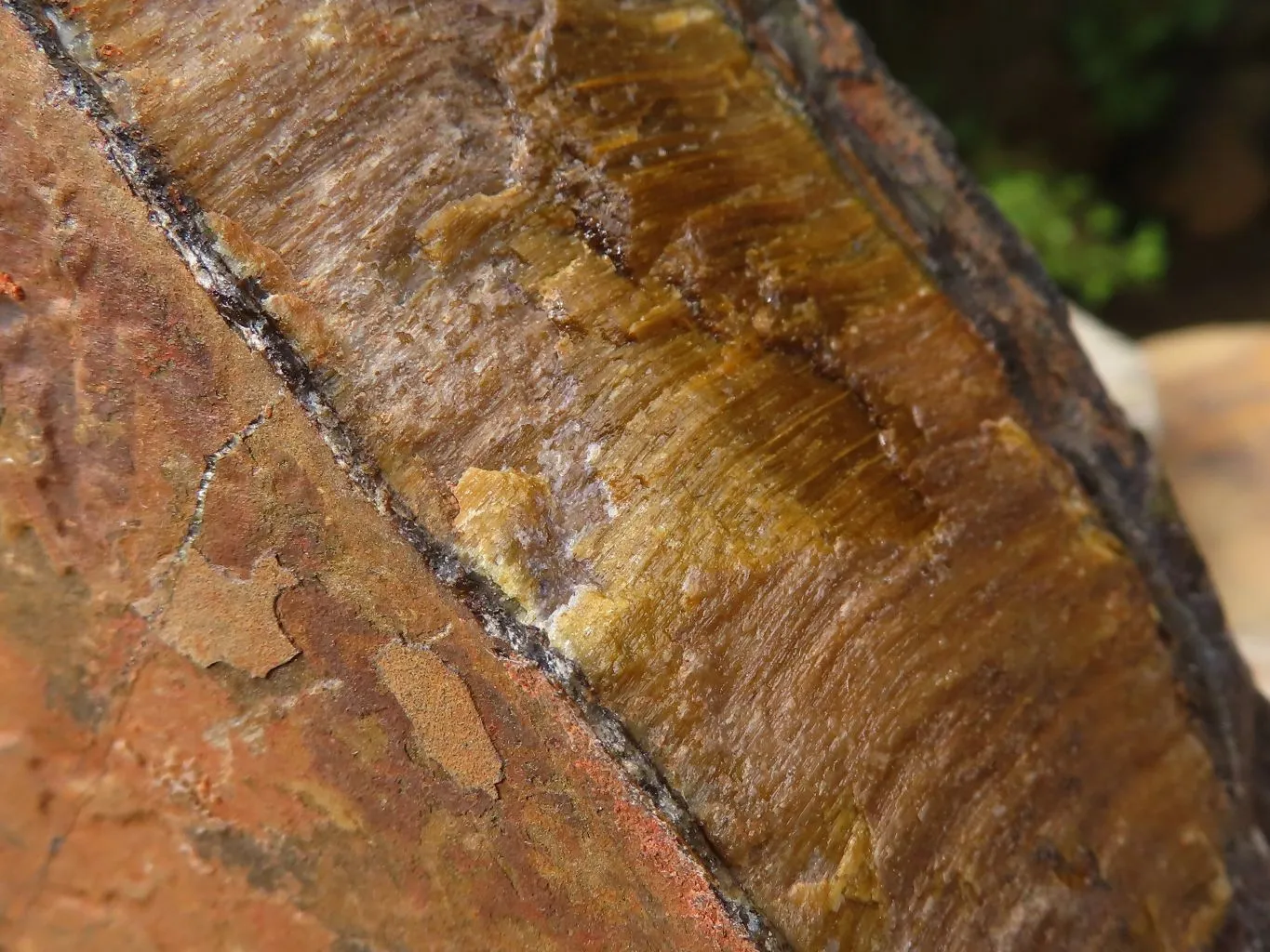 Natural Thick Blue Gold Rough Tigers Eye Slab x 1 From Prieska, South Africa