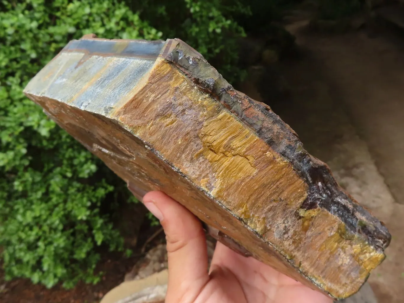 Natural Thick Blue Gold Rough Tigers Eye Slab x 1 From Prieska, South Africa