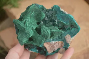 Natural Unique Dioptase & Bladed Malachite Specimen  x 1 From Likasi, Congo