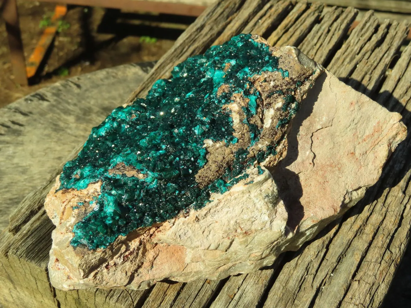 Natural XL Dioptase Cabinet Specimen With Shiny Emerald Green Crystals x 1 From Congo