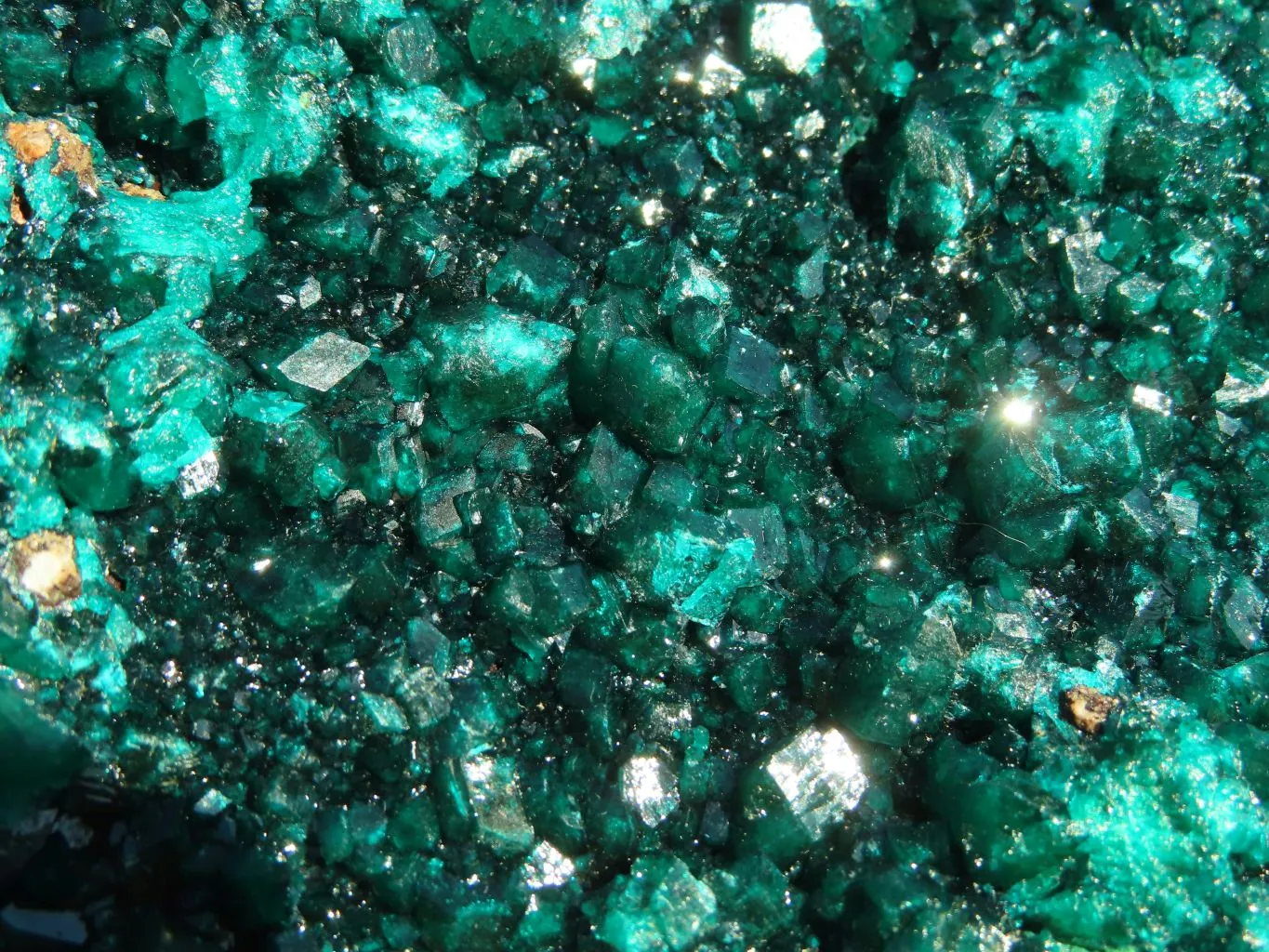Natural XL Dioptase Cabinet Specimen With Shiny Emerald Green Crystals x 1 From Congo