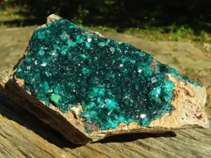 Natural XL Dioptase Cabinet Specimen With Shiny Emerald Green Crystals x 1 From Congo