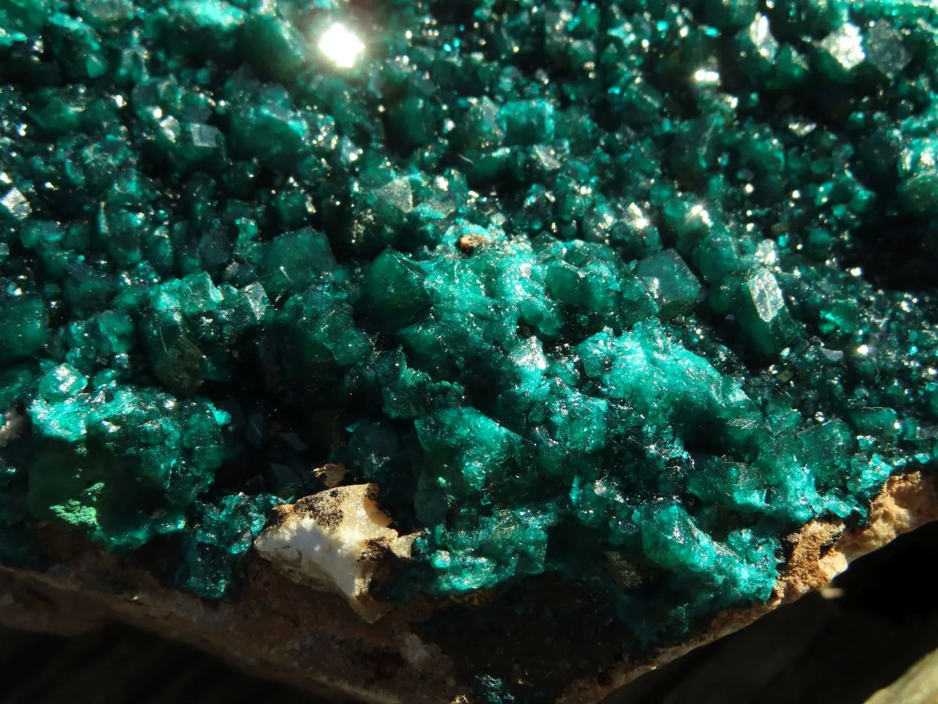 Natural XL Dioptase Cabinet Specimen With Shiny Emerald Green Crystals x 1 From Congo