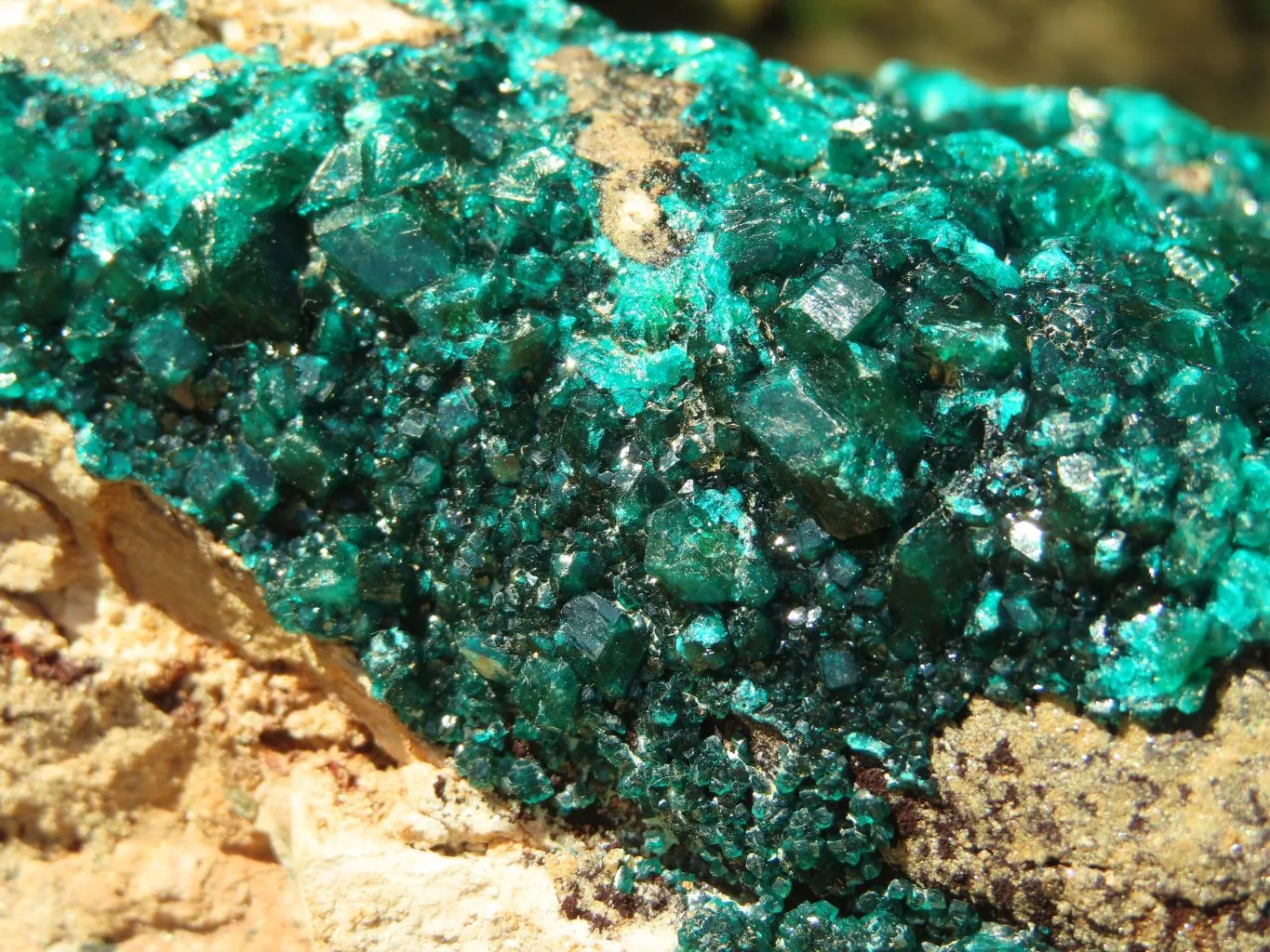 Natural XL Dioptase Cabinet Specimen With Shiny Emerald Green Crystals x 1 From Congo