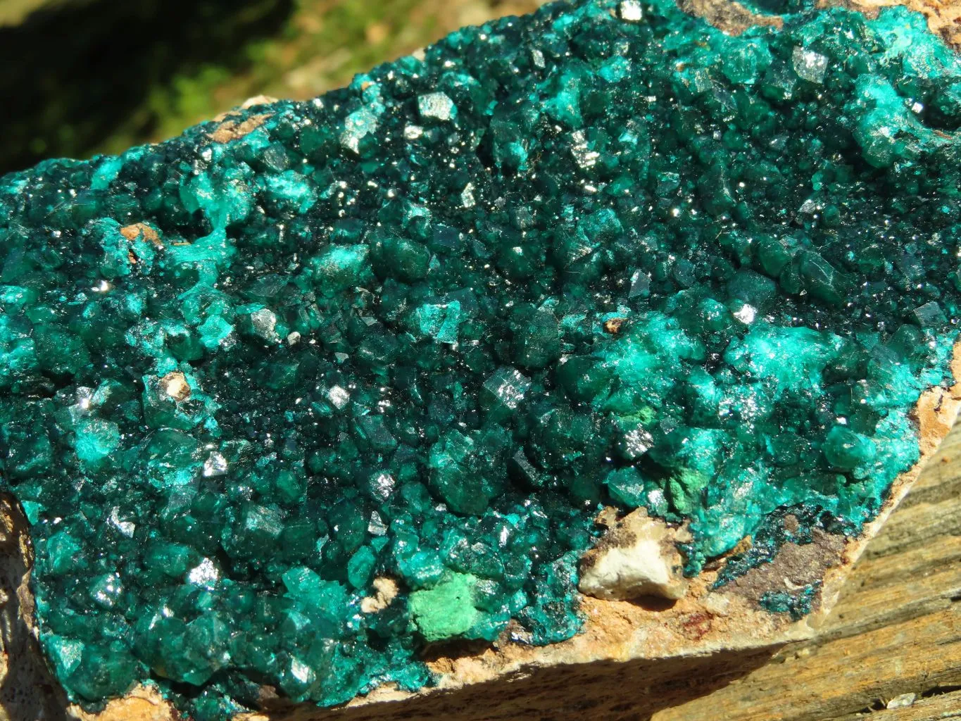 Natural XL Dioptase Cabinet Specimen With Shiny Emerald Green Crystals x 1 From Congo