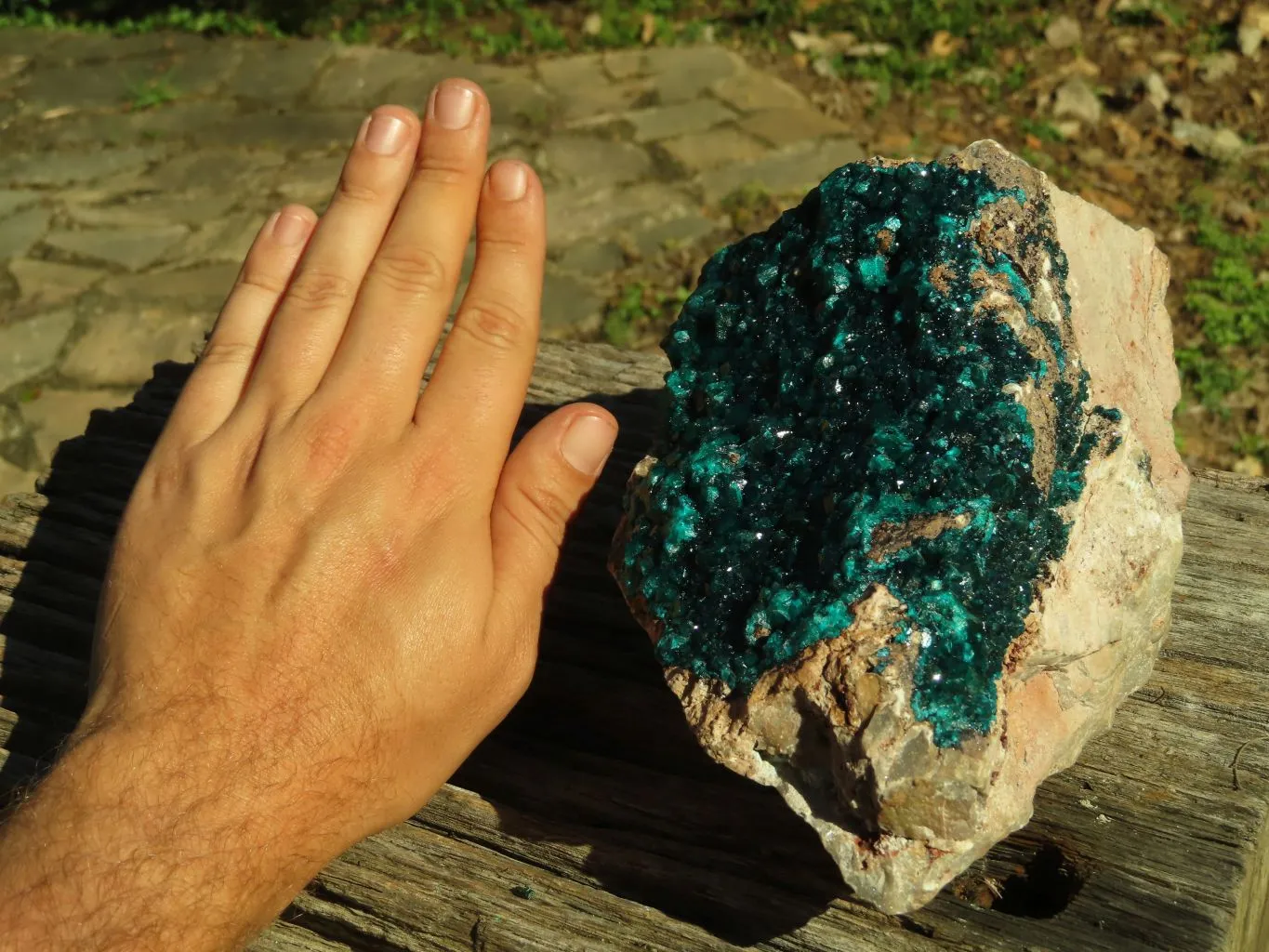 Natural XL Dioptase Cabinet Specimen With Shiny Emerald Green Crystals x 1 From Congo