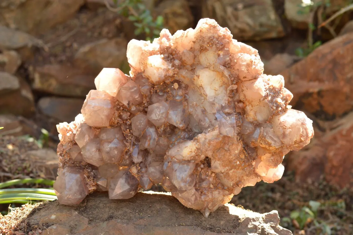 Natural XXL Red Hematoid Quartz Cluster x 1 From Karoi, Zimbabwe