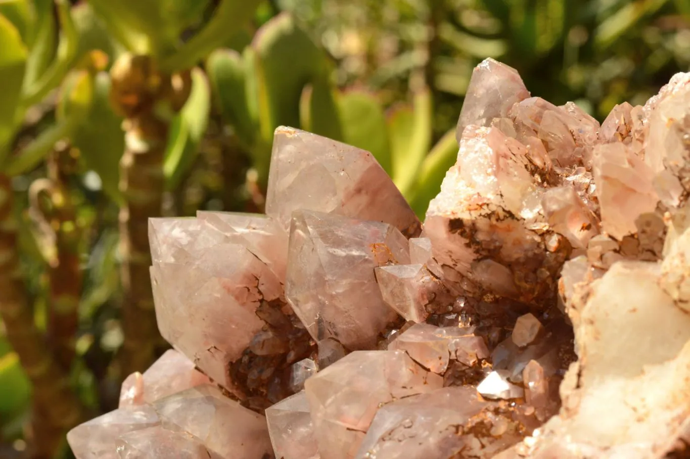 Natural XXL Red Hematoid Quartz Cluster x 1 From Karoi, Zimbabwe