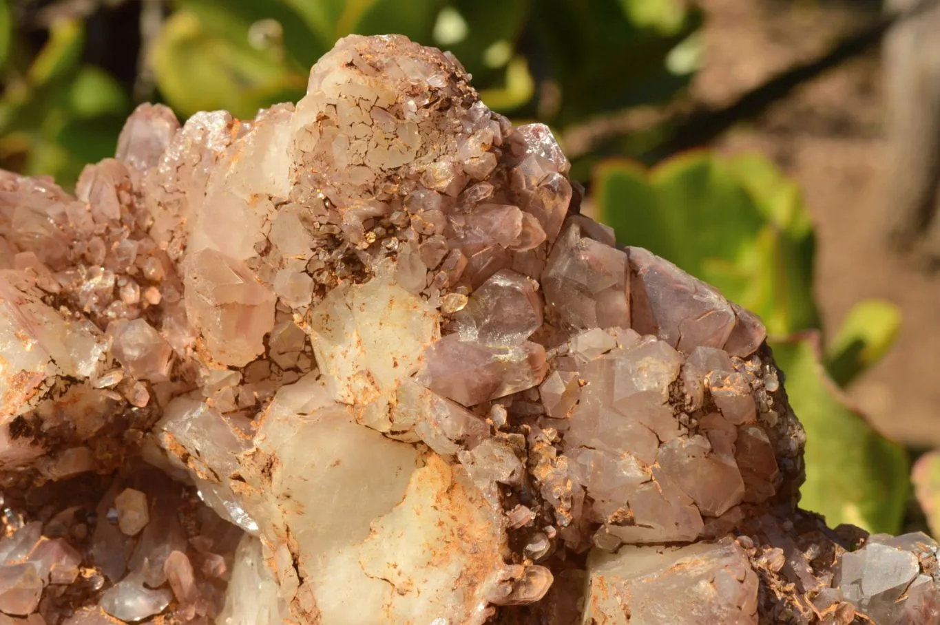Natural XXL Red Hematoid Quartz Cluster x 1 From Karoi, Zimbabwe
