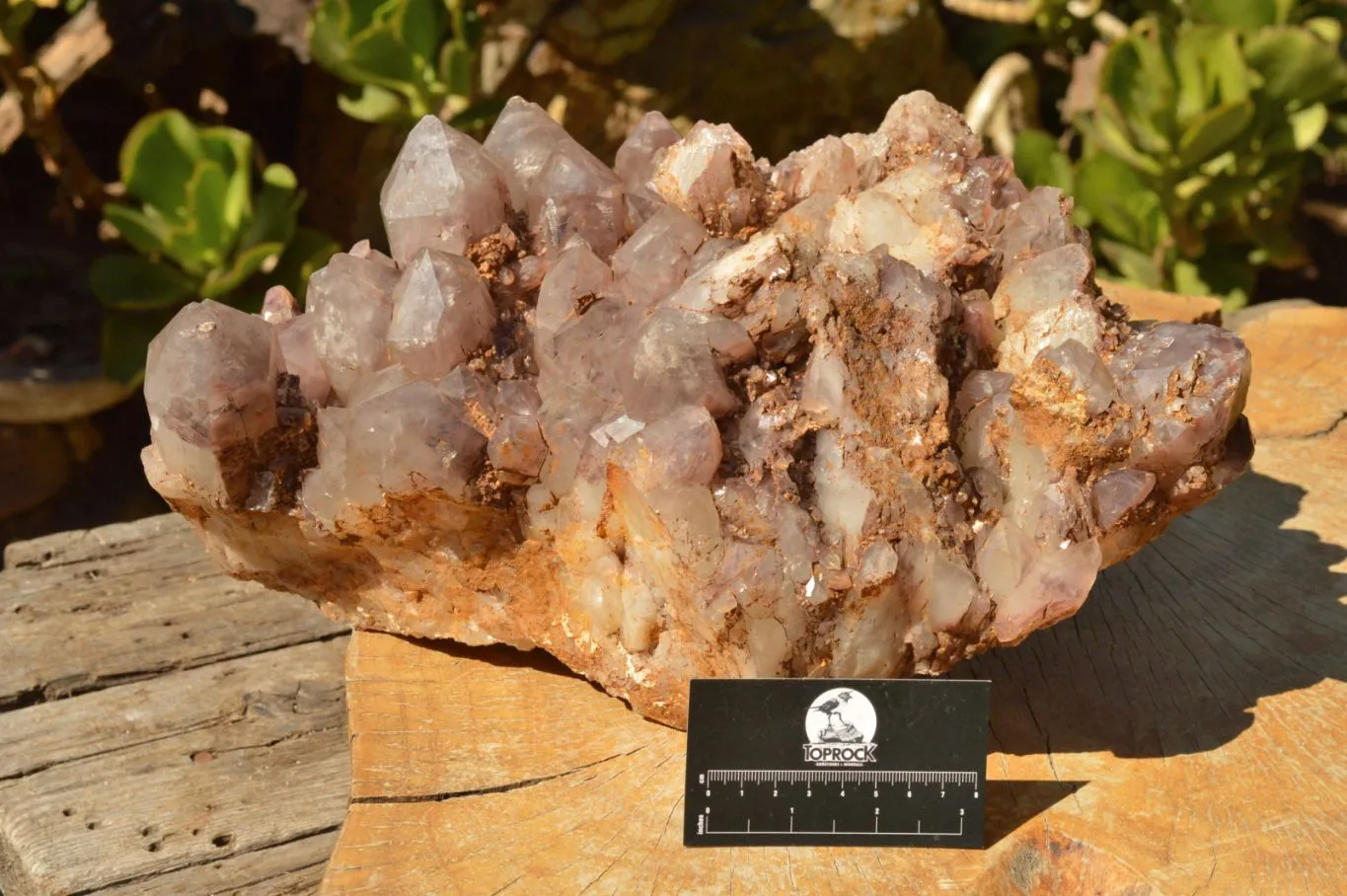 Natural XXL Red Hematoid Quartz Cluster x 1 From Karoi, Zimbabwe