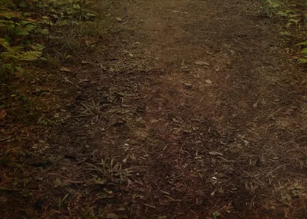 Nature Daze Floor-rf