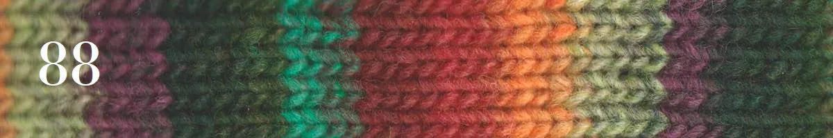 Noro Kureyon