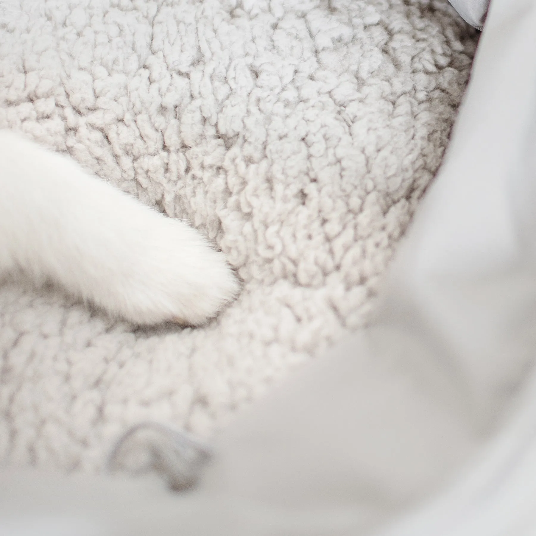 OLLA - Petitie Pet Carrycot