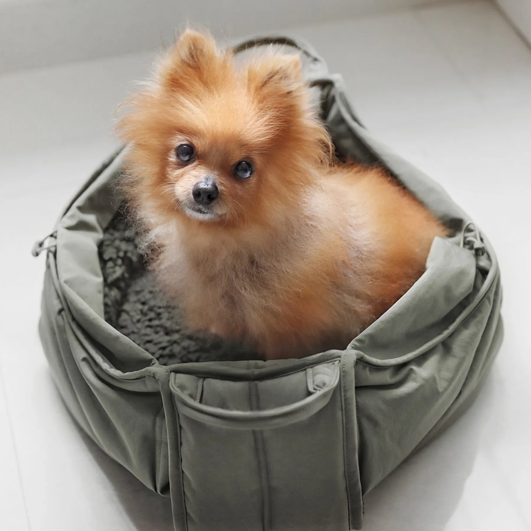OLLA - Petitie Pet Carrycot