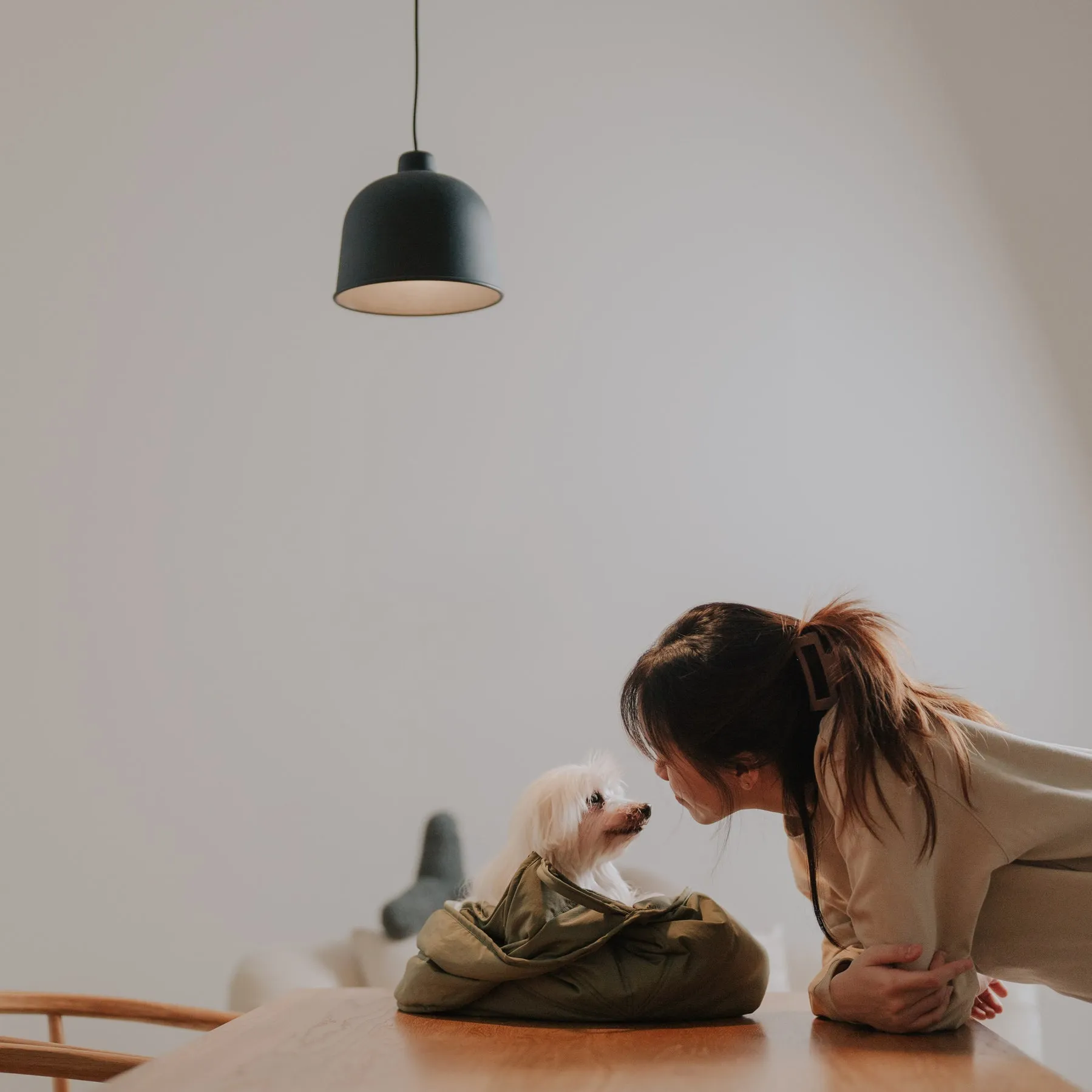 OLLA - Petitie Pet Carrycot