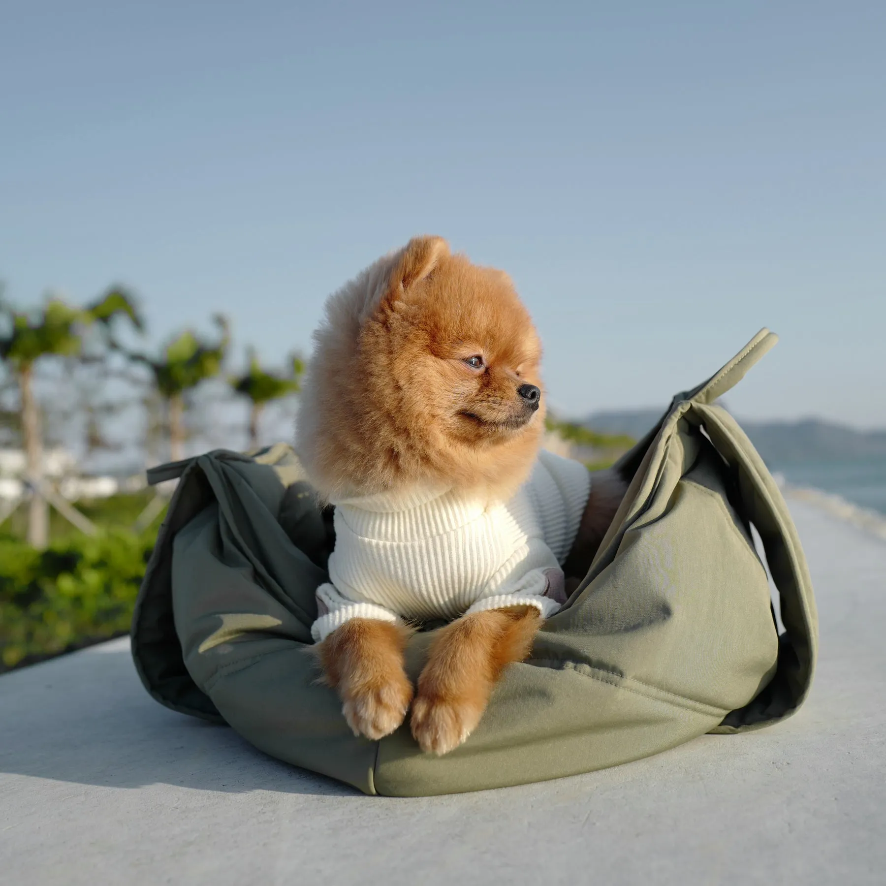 OLLA - Petitie Pet Carrycot