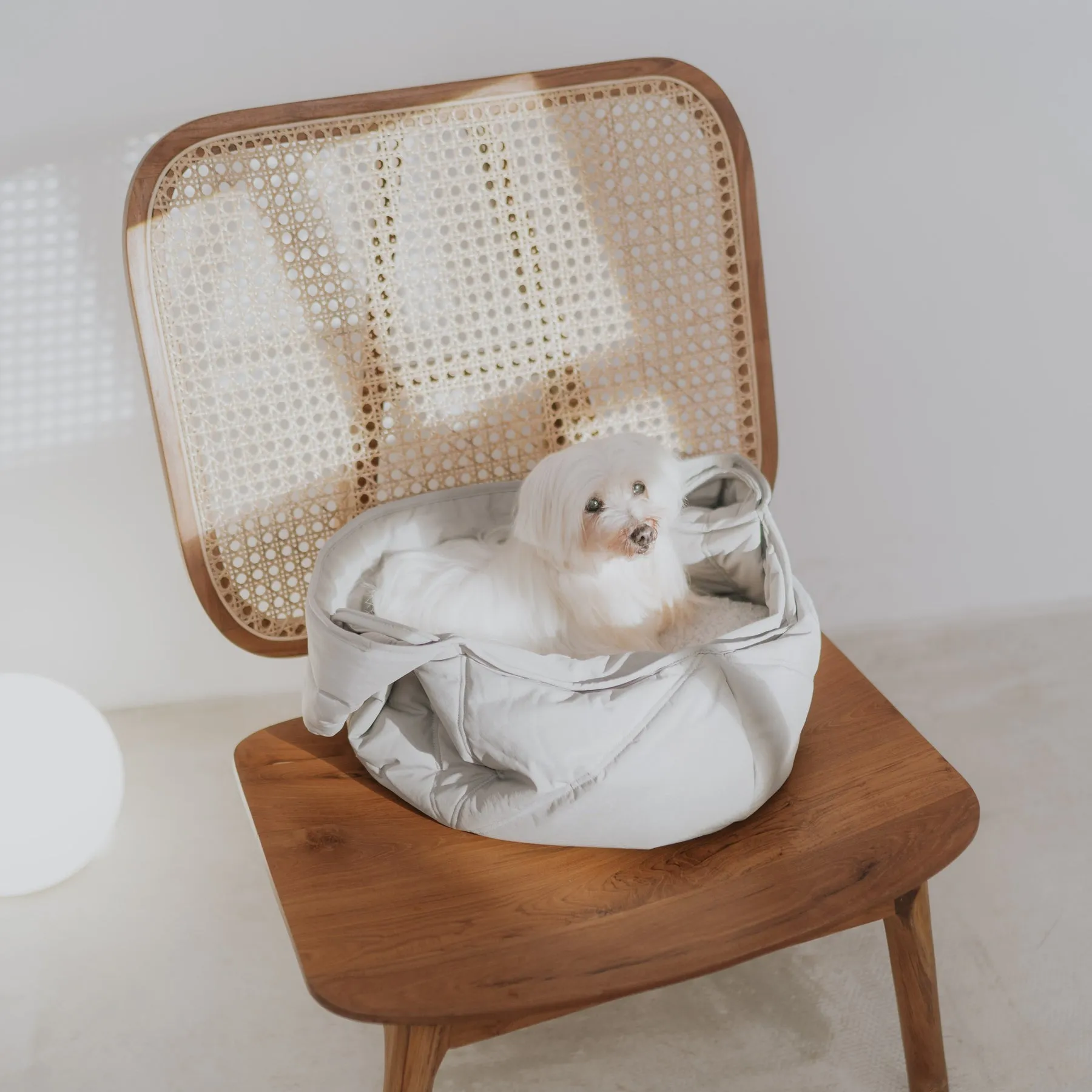 OLLA - Petitie Pet Carrycot