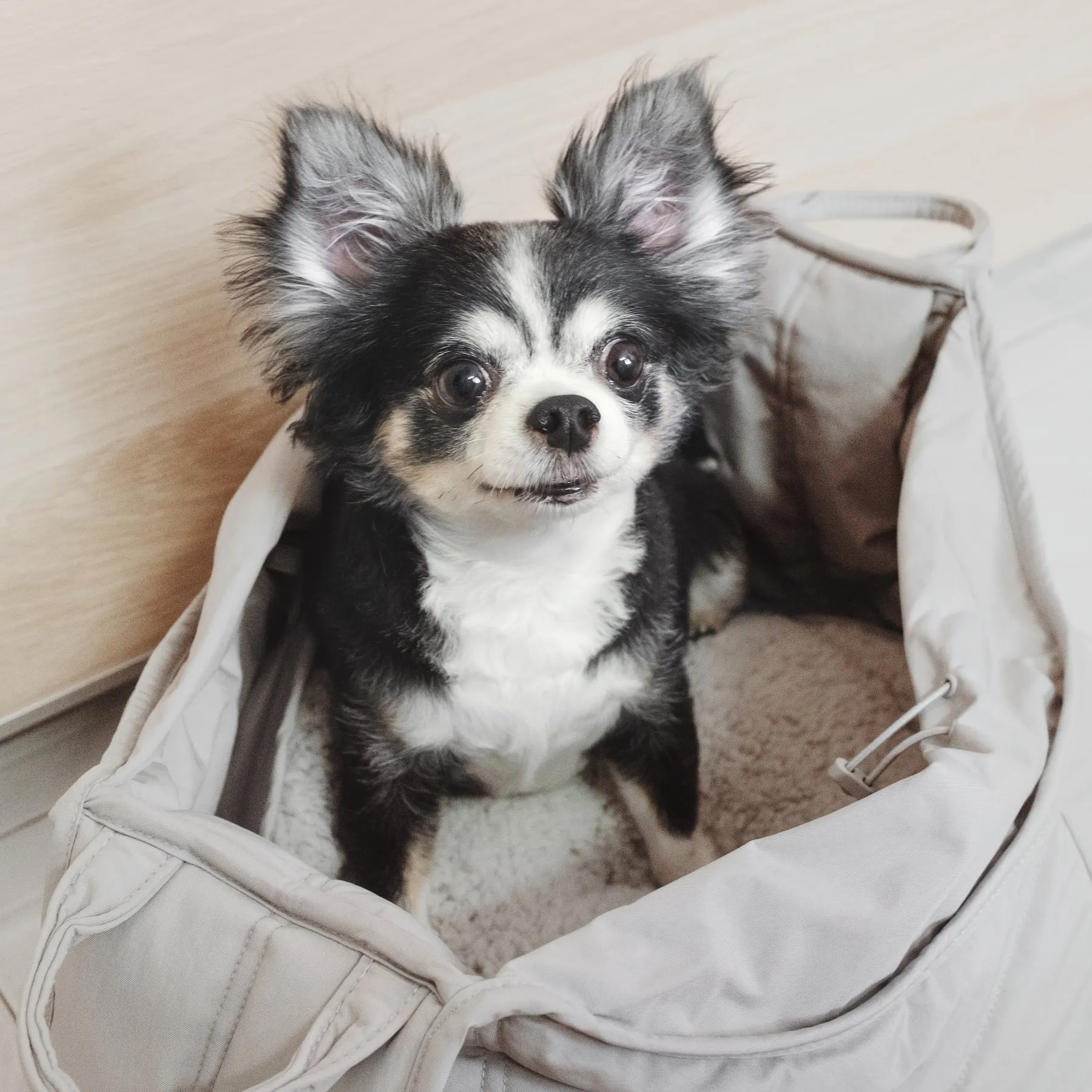 OLLA - Petitie Pet Carrycot