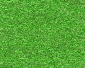 Opening Day Turf Floor-rf