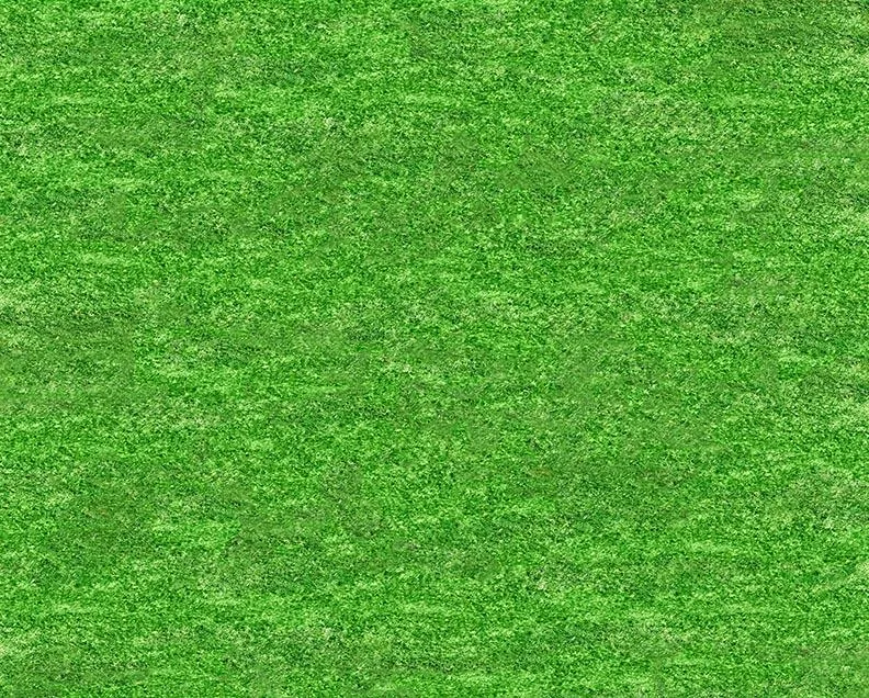 Opening Day Turf Floor-rf