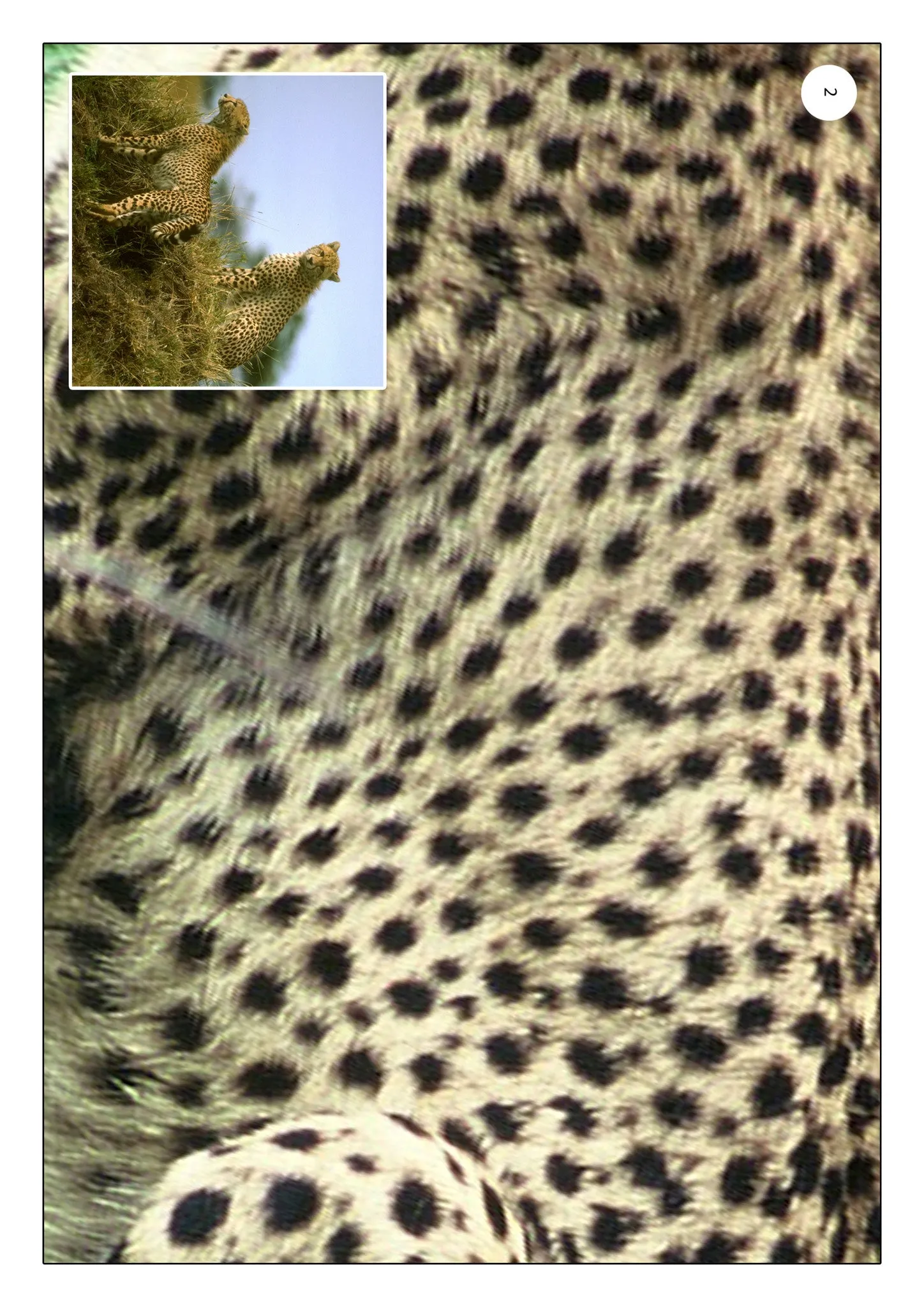 Patterns In Nature Photo Pack Digital Download