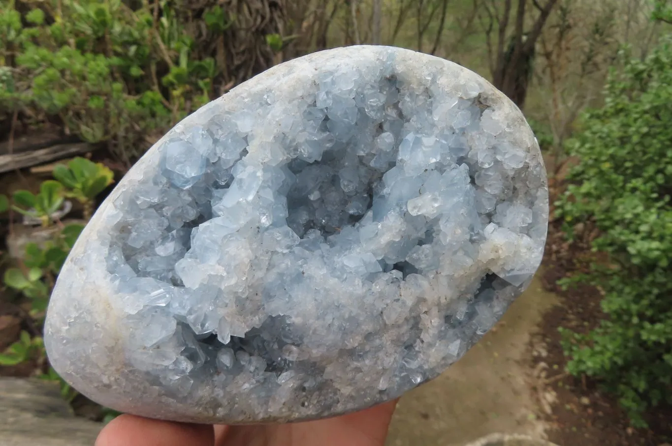 Polished Blue Celestite Egg Geode x 1 From Sakoany, Madagascar