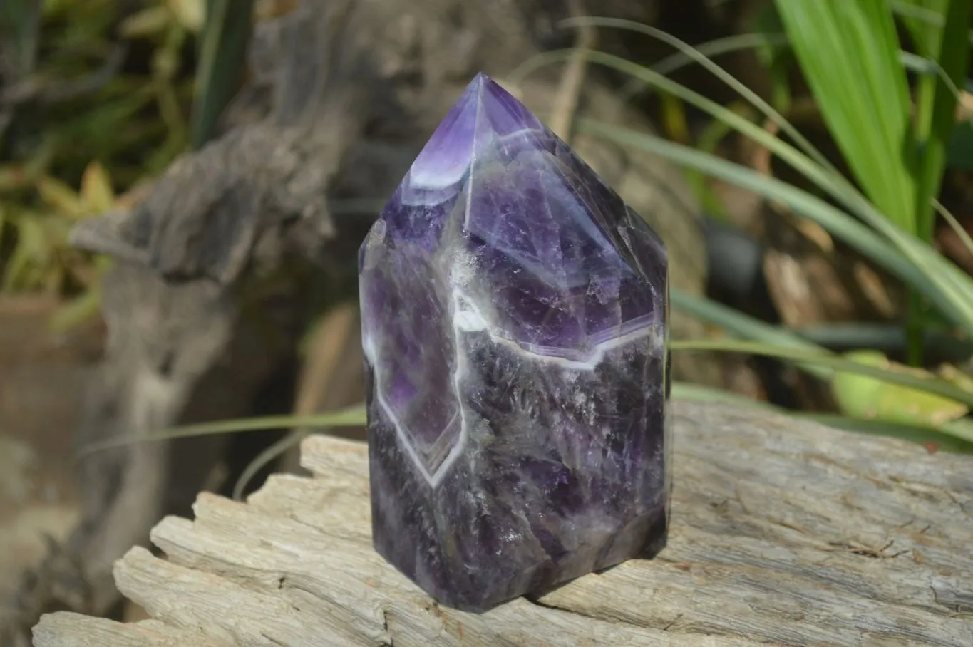 Polished Chevron Amethyst Prism-Point x 1 From Zambia