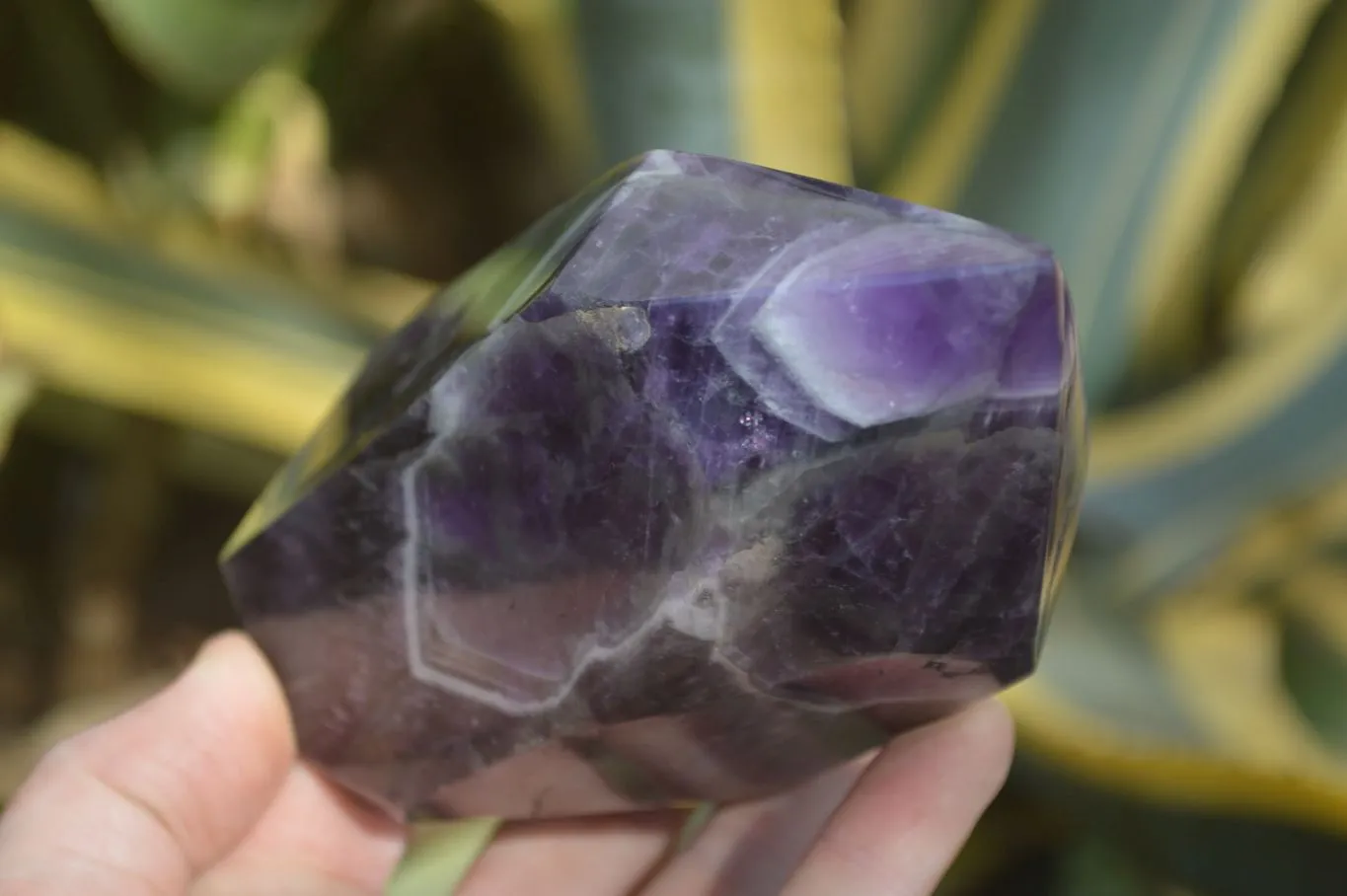 Polished Chevron Amethyst Prism-Point x 1 From Zambia